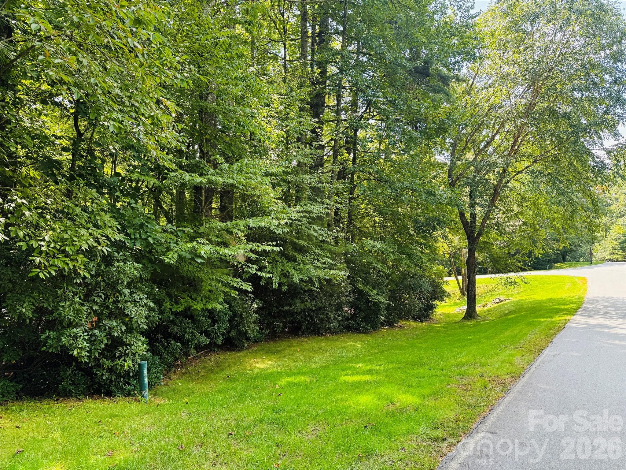 Lot at Hendersonville, photo 2 of 9