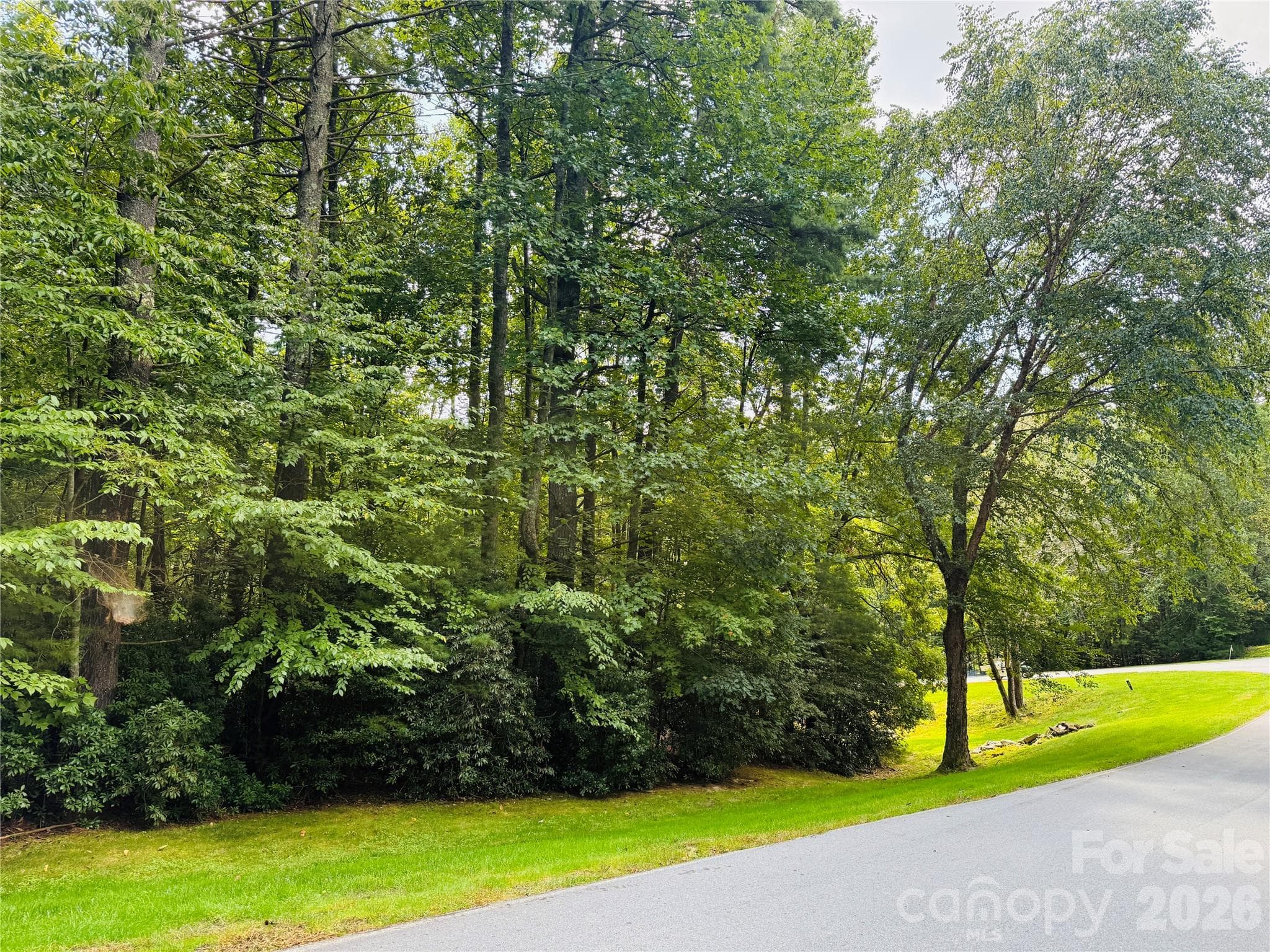 Lot at Hendersonville, photo 3 of 9
