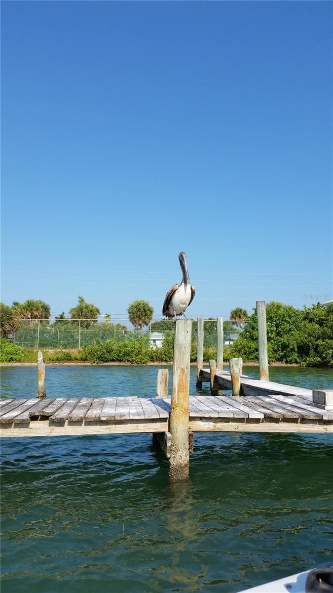 Land at 15447 ARON CIR, PORT CHARLOTTE, photo 17 of 100