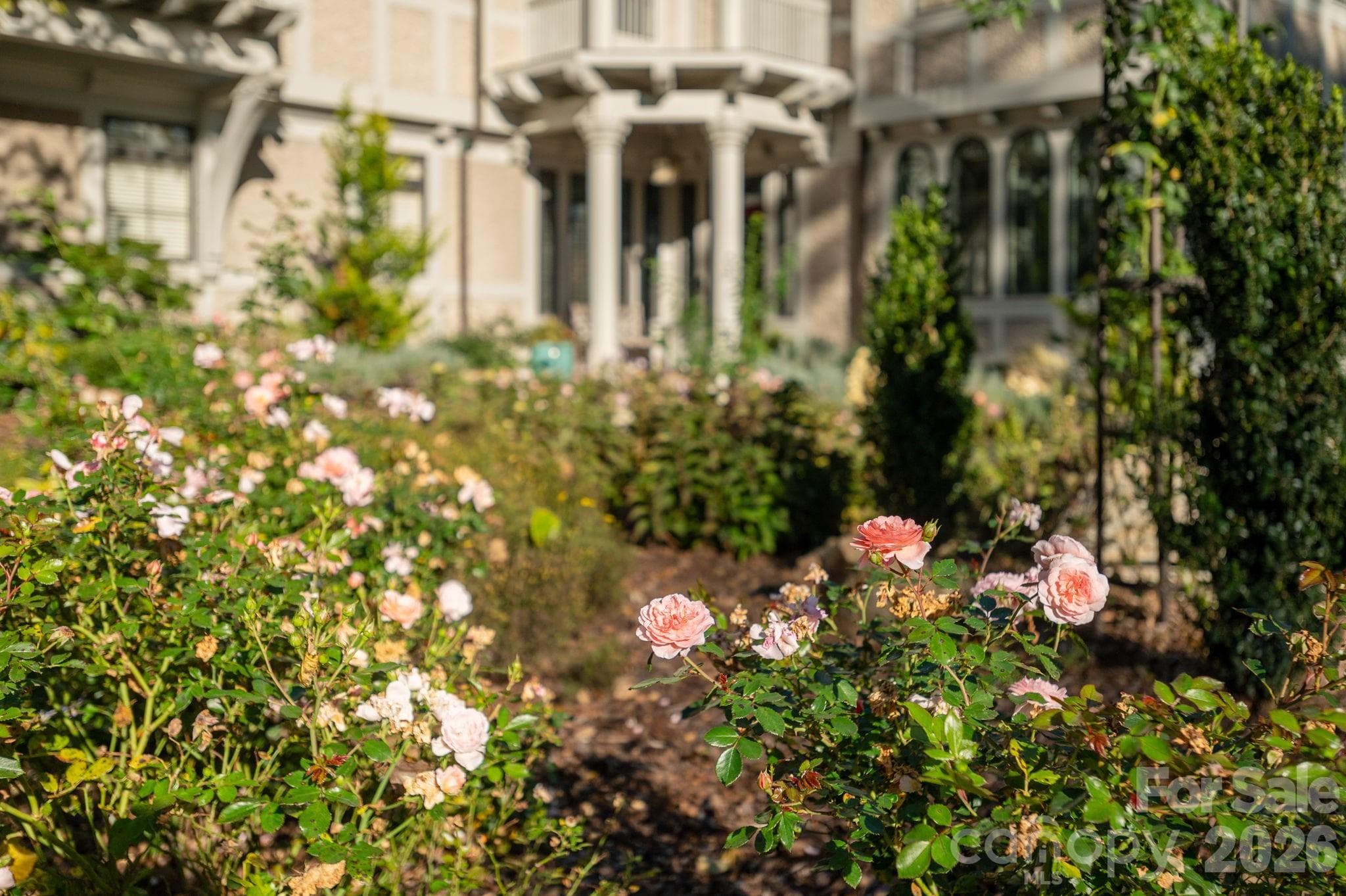 Perennial gardens welcome guests at the front entrance - 8 Fairway Place, Asheville