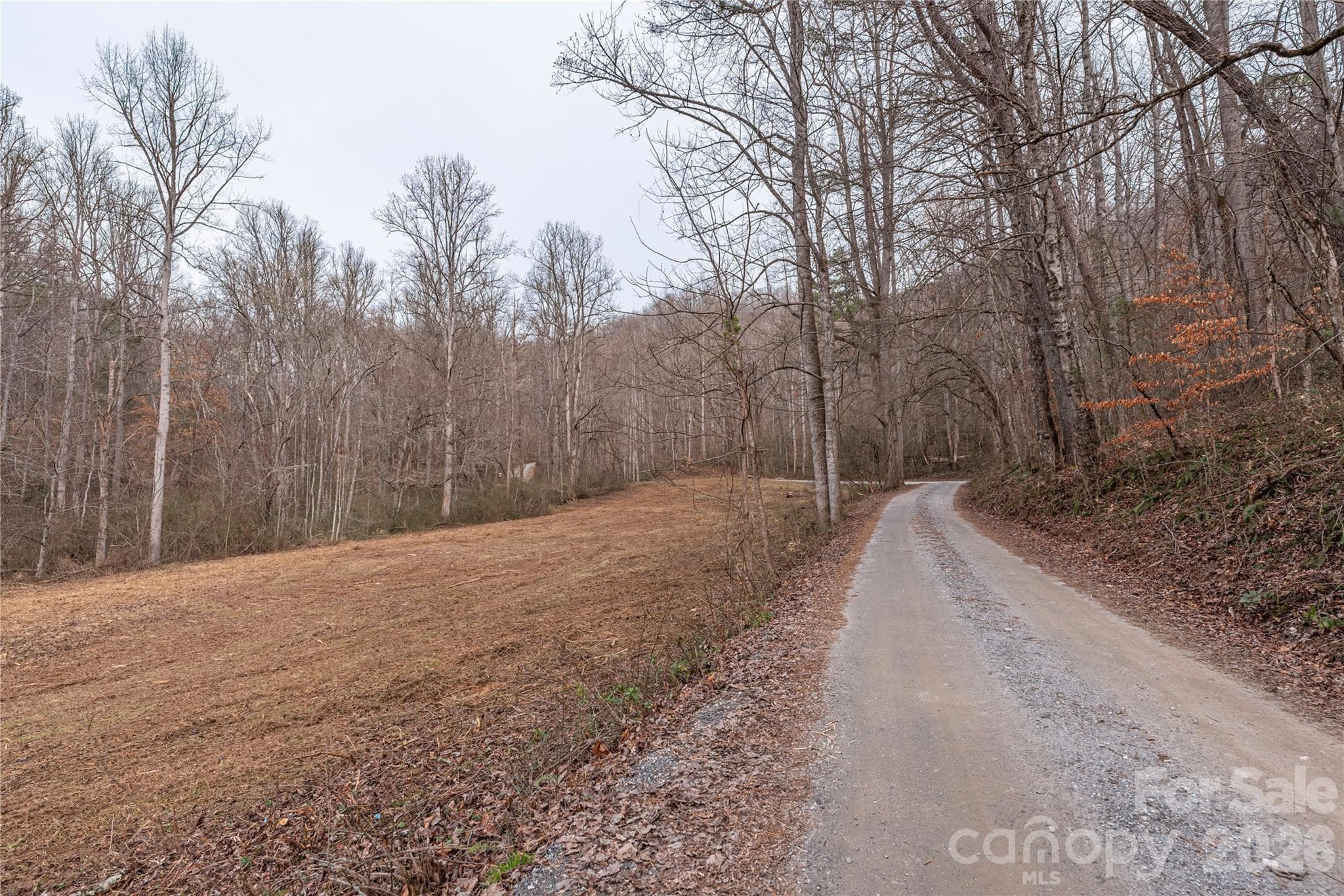Acreage at Sylva, photo 2 of 18