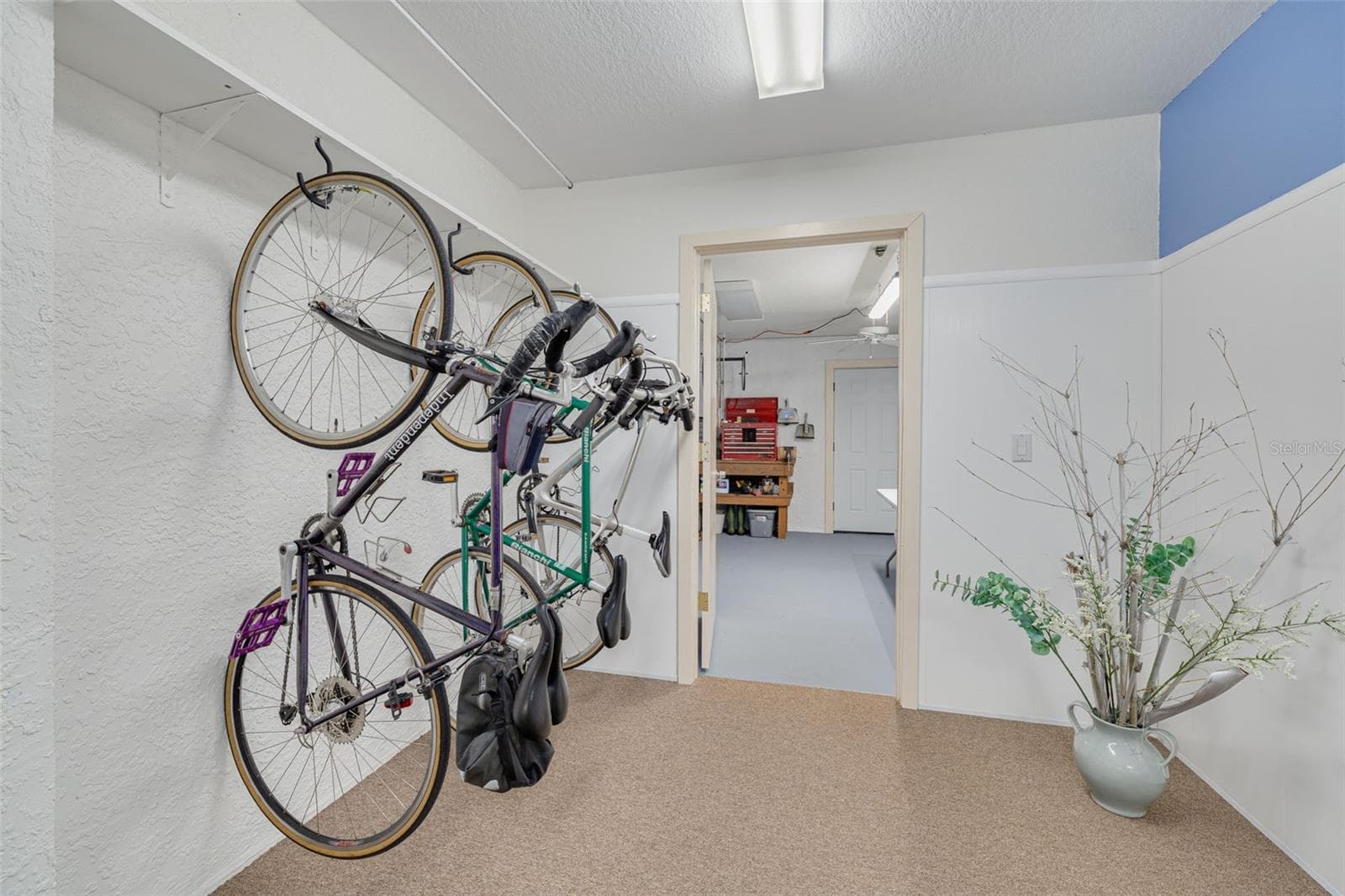 Lower Level Bike Storage - 2613 59TH ST S, GULFPORT