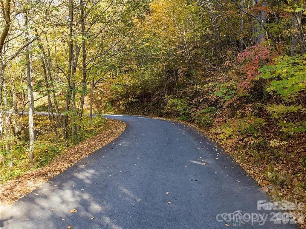 Lot at 75 S Lindon Cove Road, Candler, photo 5 of 15