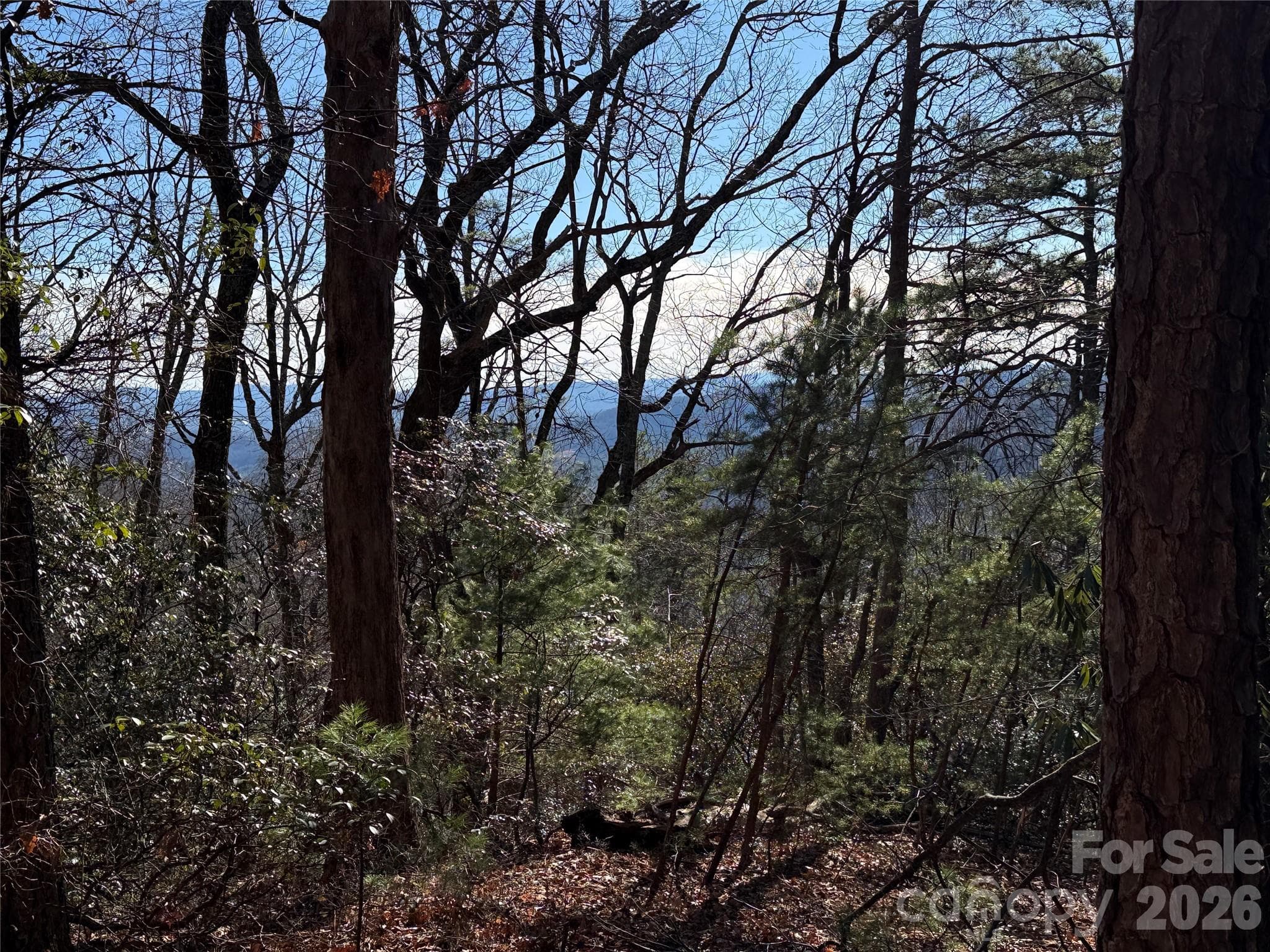 View Lot in Buck Mtn - TBD Bobcat Mountain Road, Purlear