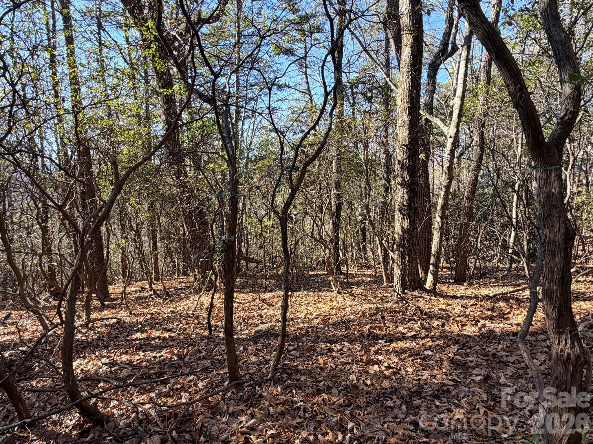 Lot at TBD Bobcat Mountain Road, Purlear, photo 3 of 44