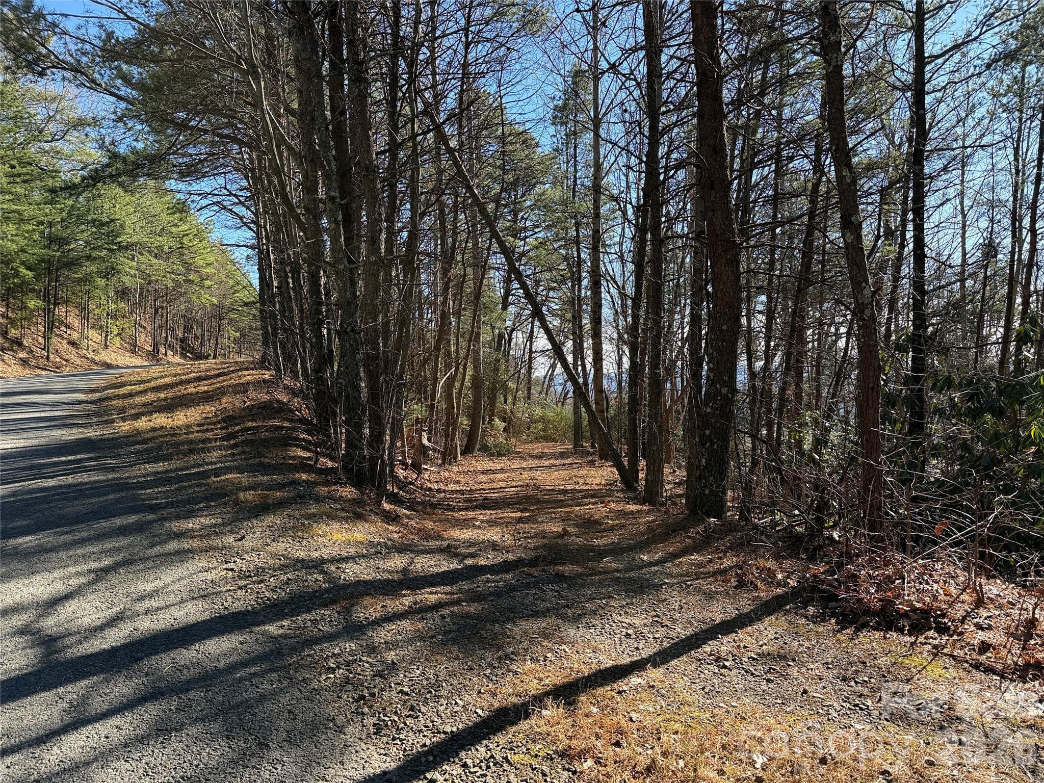 Paved Road Access. Existing Driveway In Place. - TBD Bobcat Mountain Road, Purlear