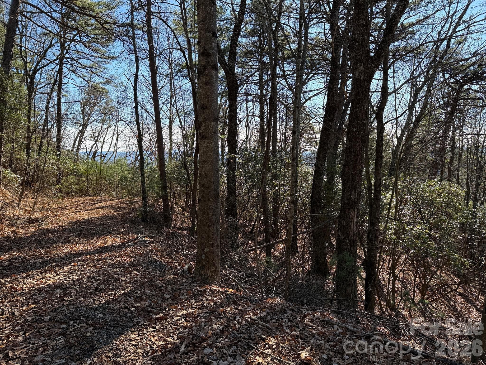Lot at TBD Bobcat Mountain Road, Purlear, photo 6 of 44
