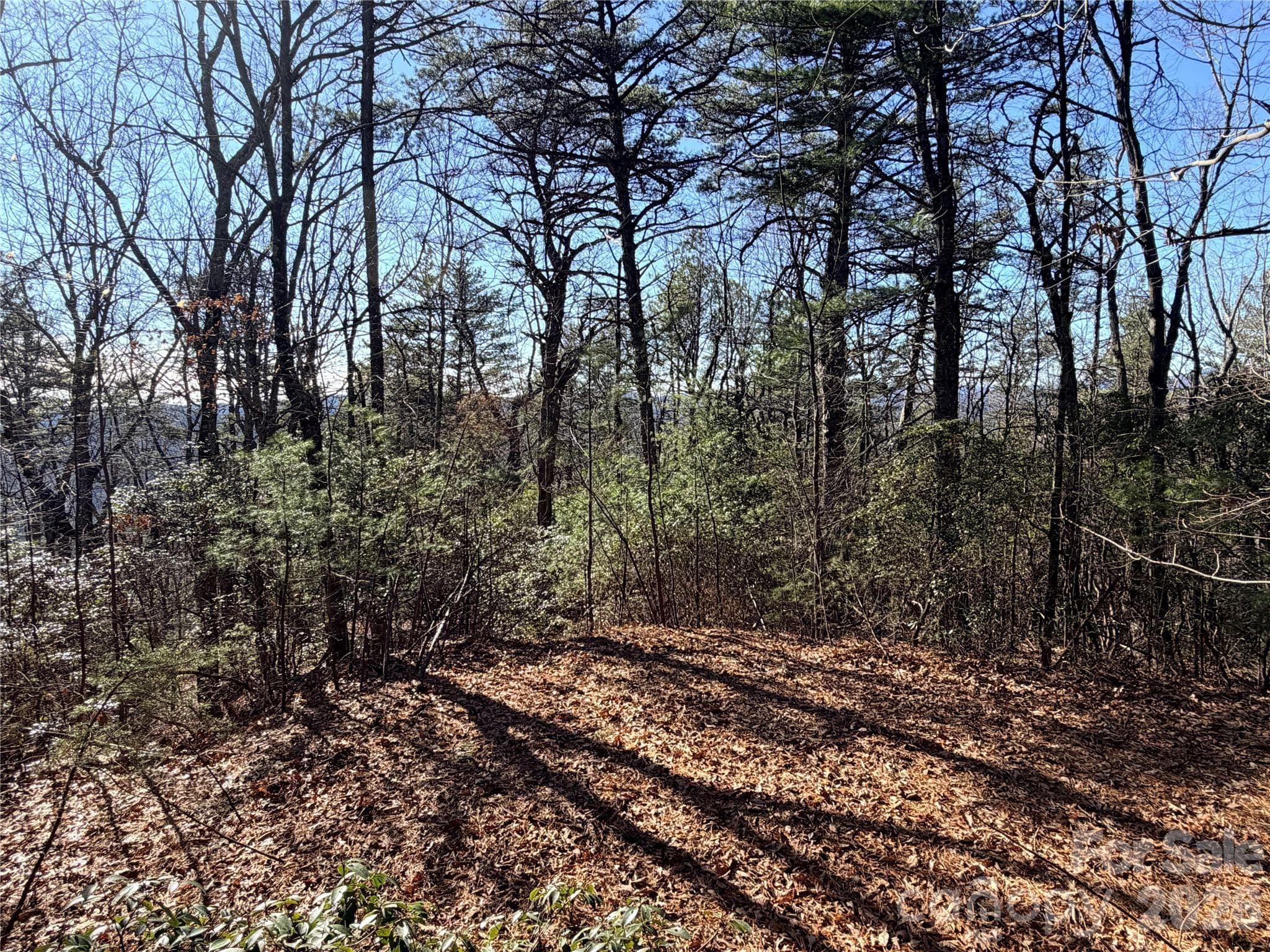 Lot at TBD Bobcat Mountain Road, Purlear, photo 7 of 44