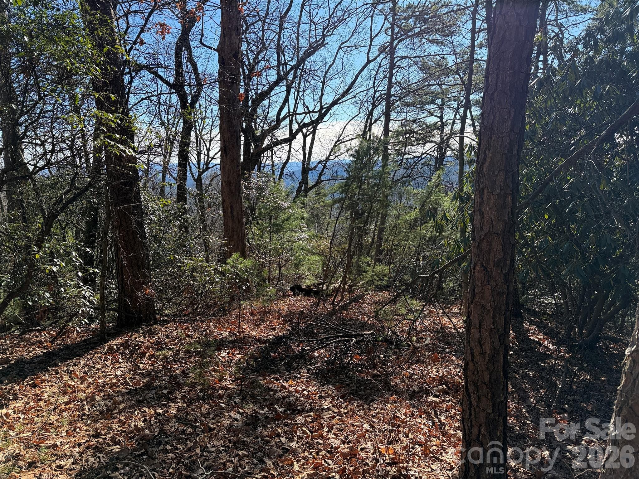Lot at TBD Bobcat Mountain Road, Purlear, photo 8 of 44