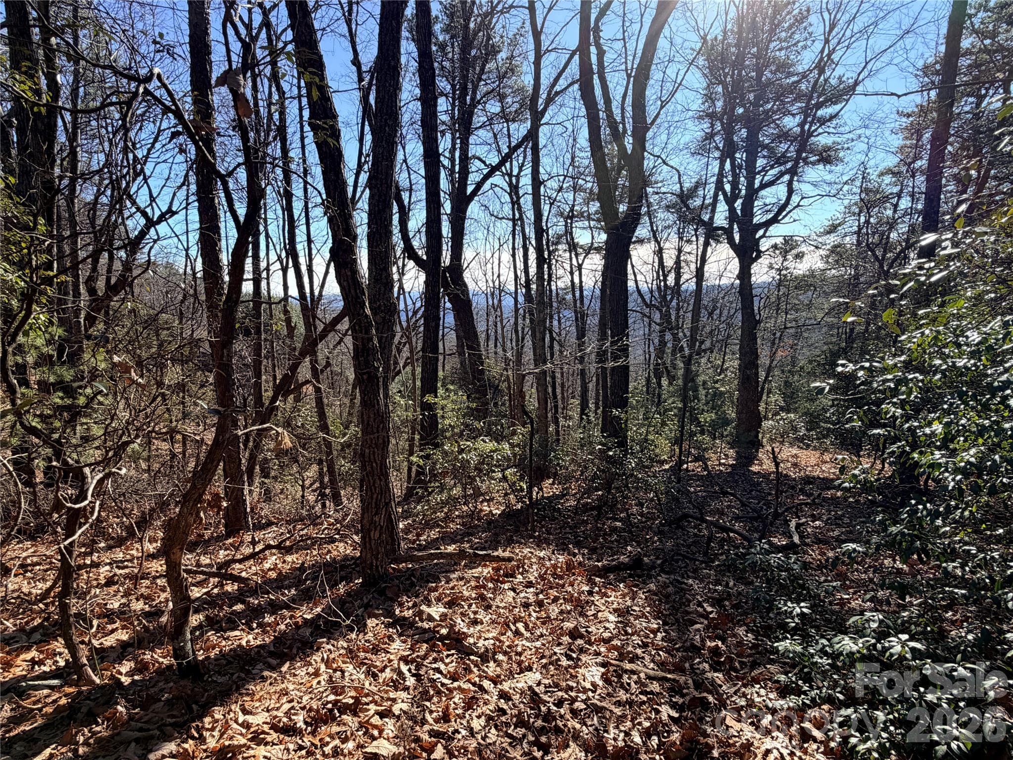 Lot at TBD Bobcat Mountain Road, Purlear, photo 9 of 44