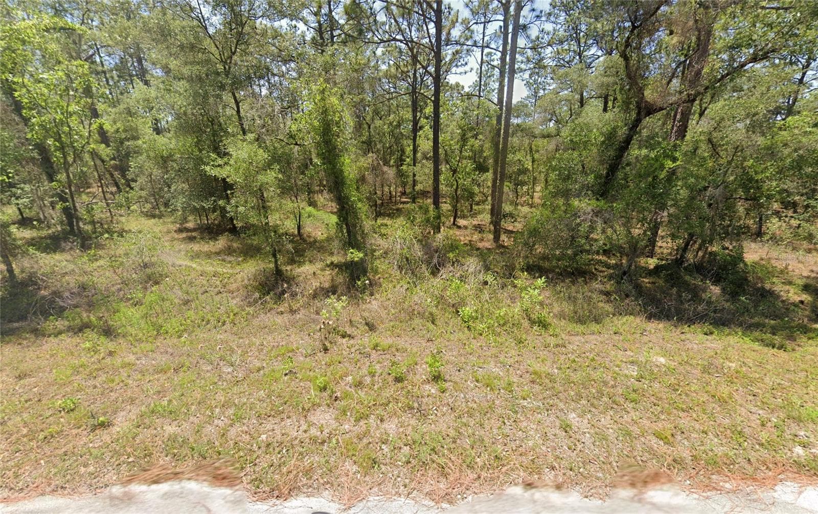 156 NW REDWING RD