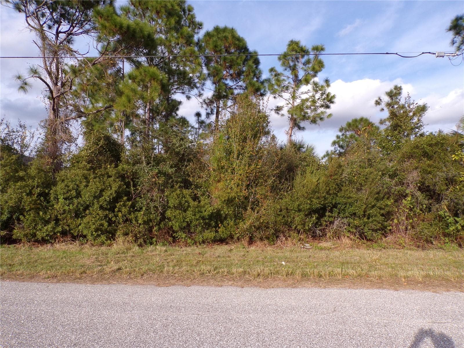 MEROLLA RD