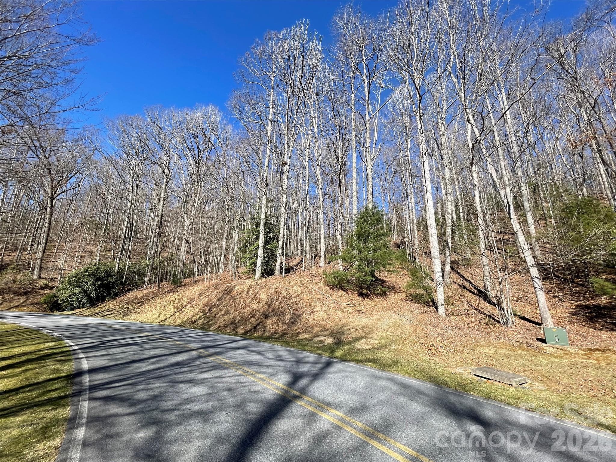 Lot at Hendersonville, photo 2 of 23