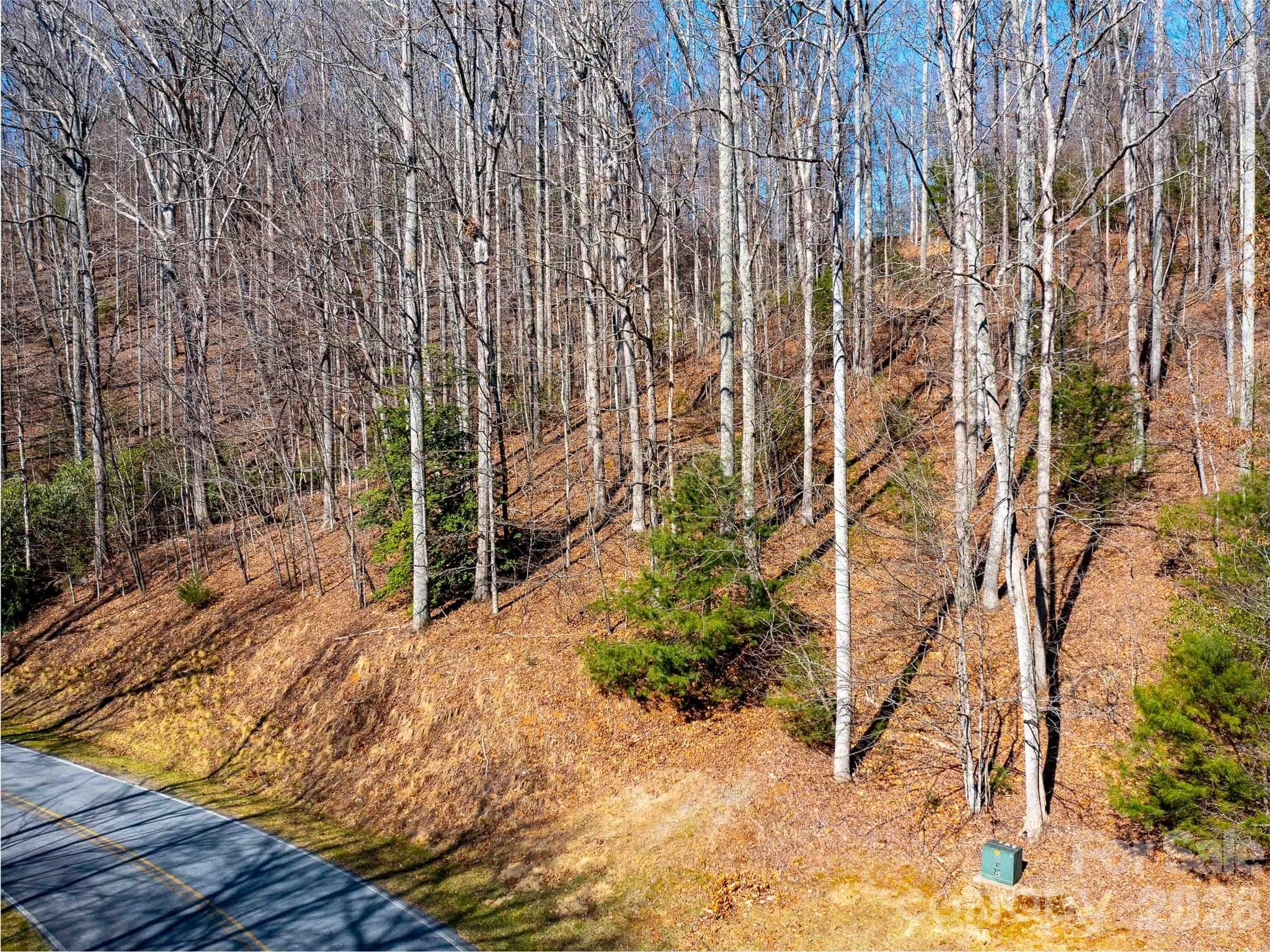 Lot at Hendersonville, photo 4 of 23