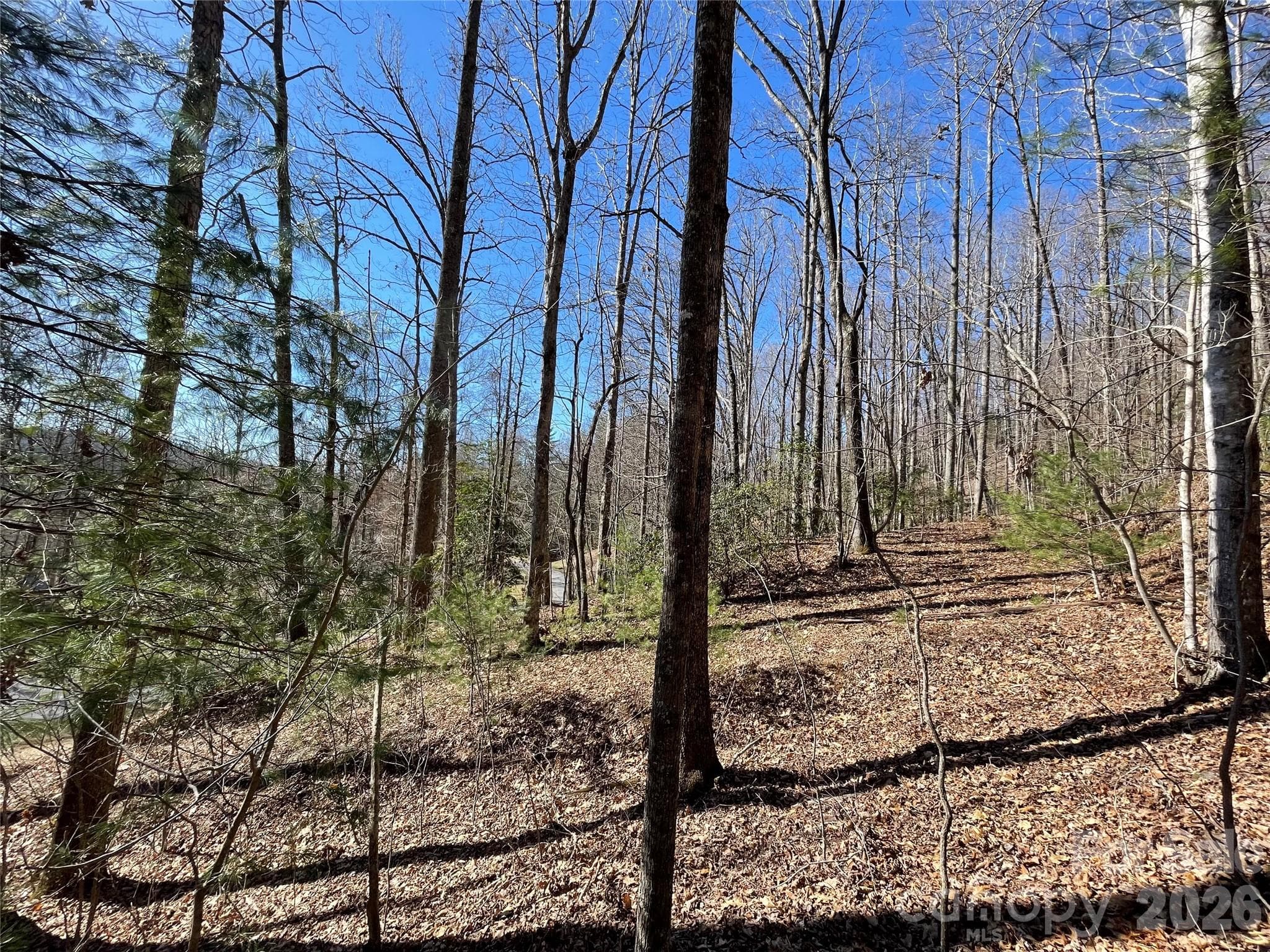 Lot at Hendersonville, photo 5 of 23