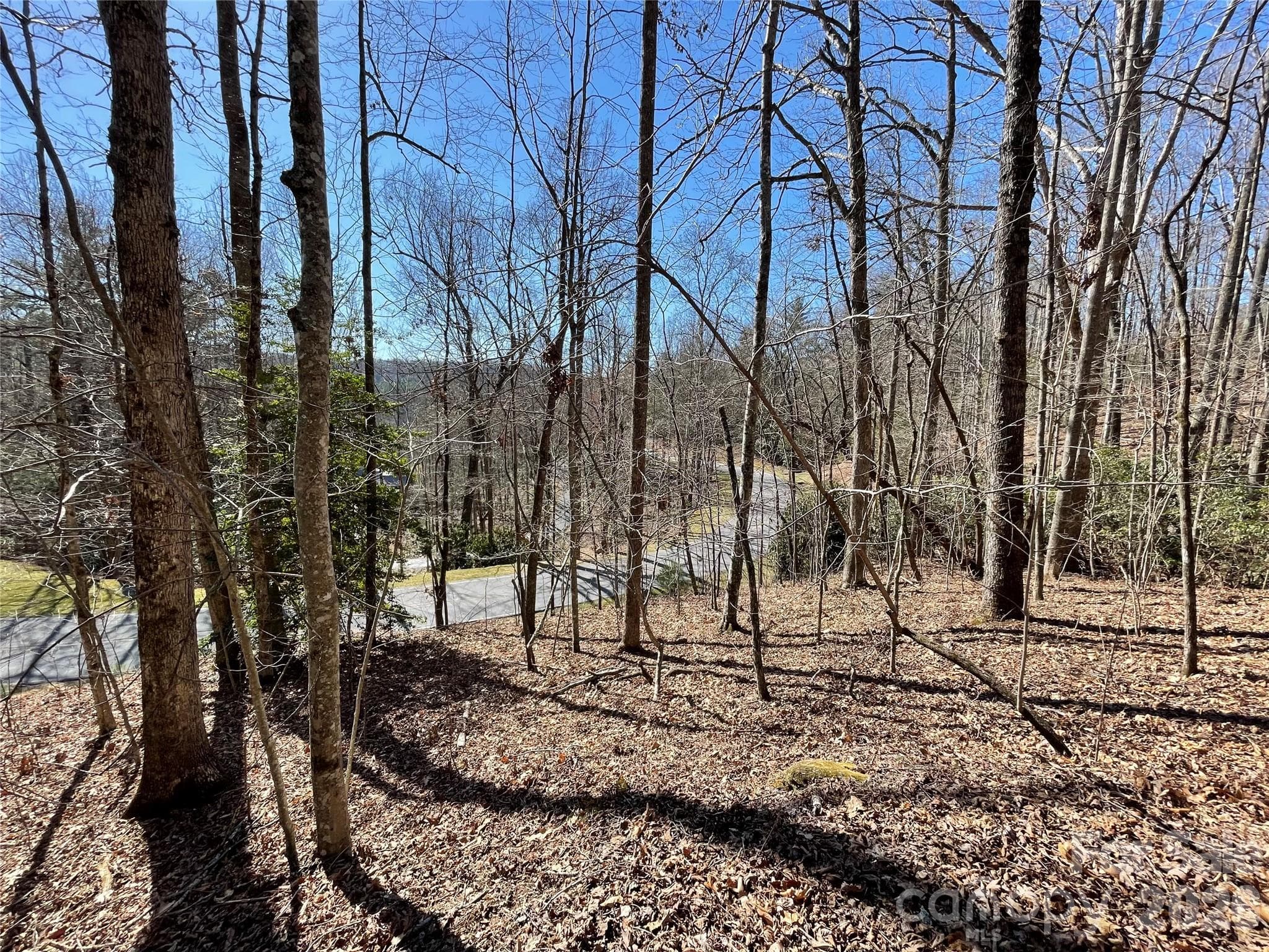 Lot at Hendersonville, photo 6 of 23