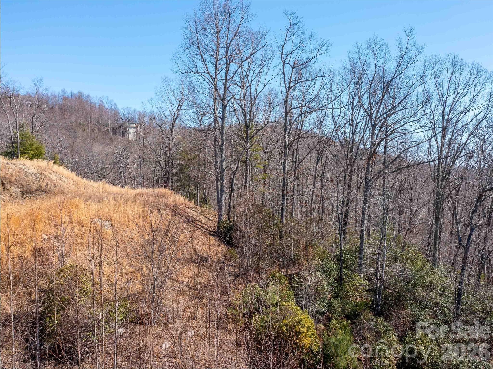 Lot at Hendersonville, photo 7 of 23