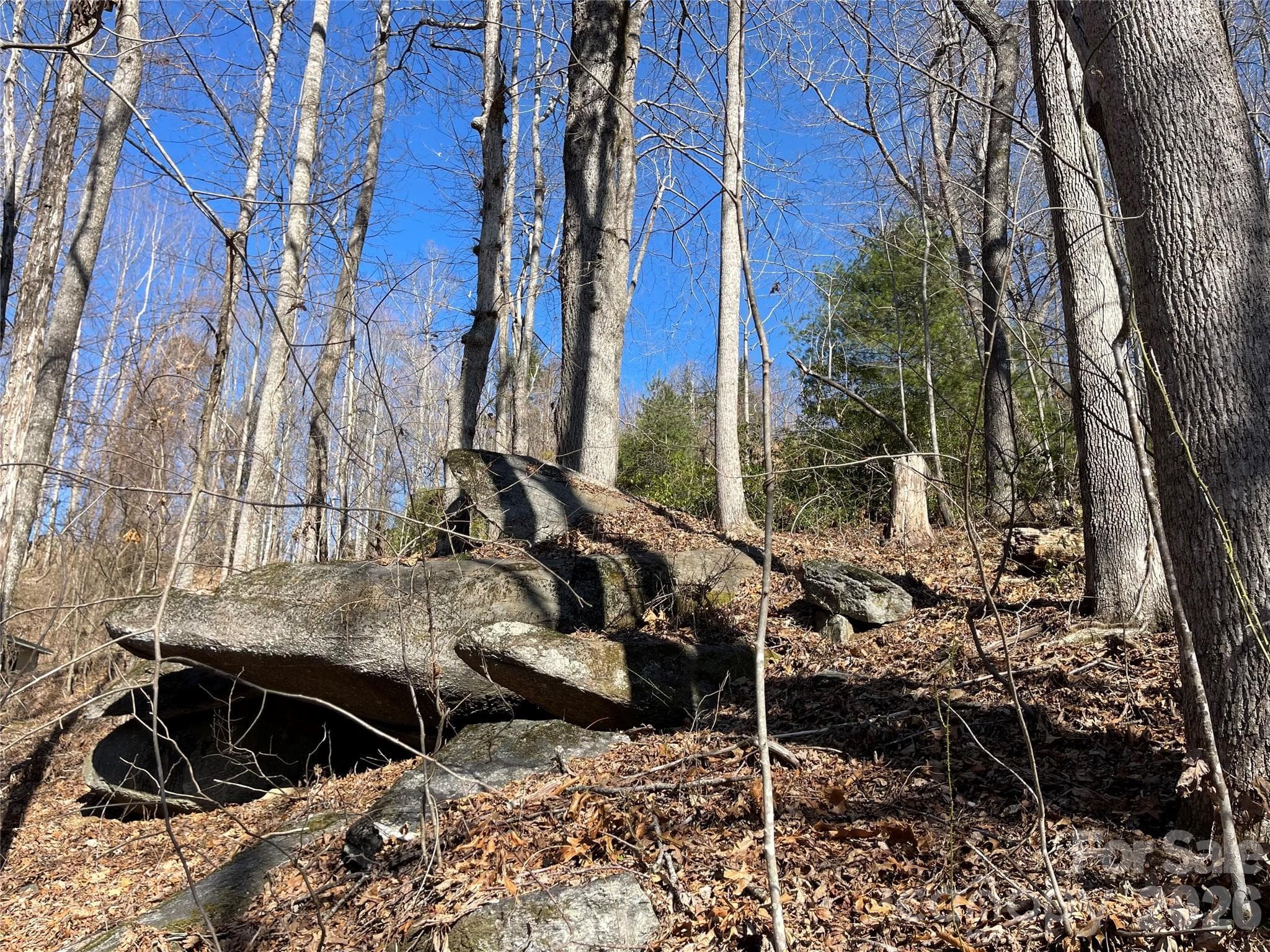 Lot at Hendersonville, photo 8 of 23