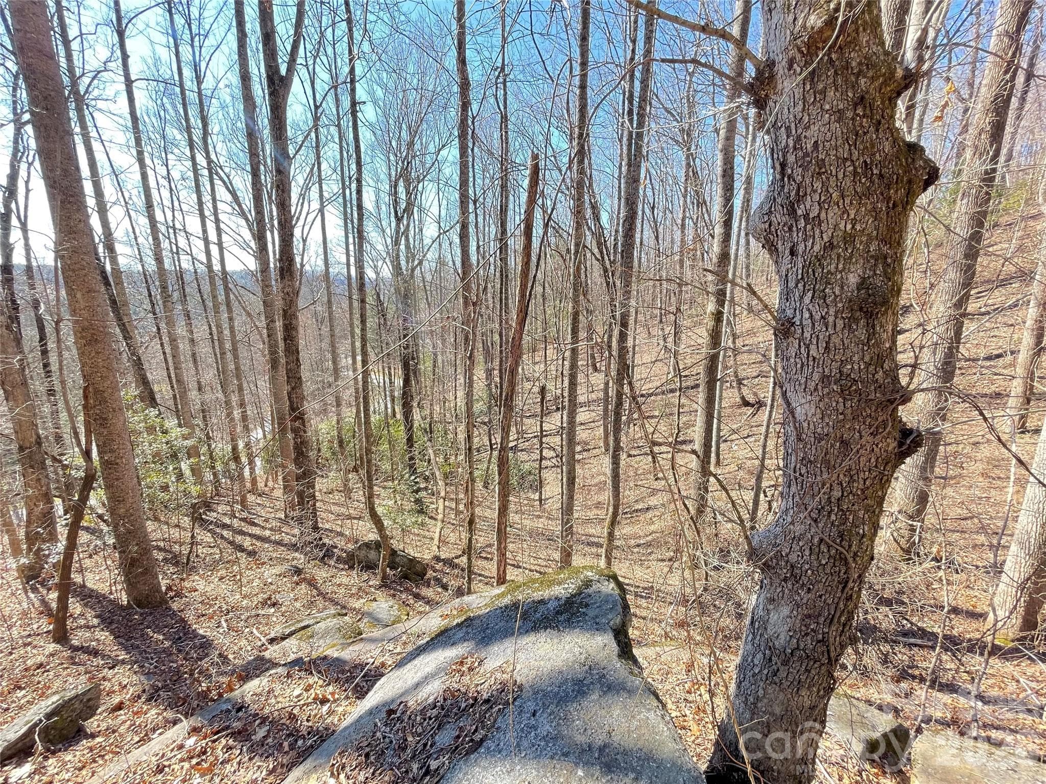 Lot at Hendersonville, photo 9 of 23