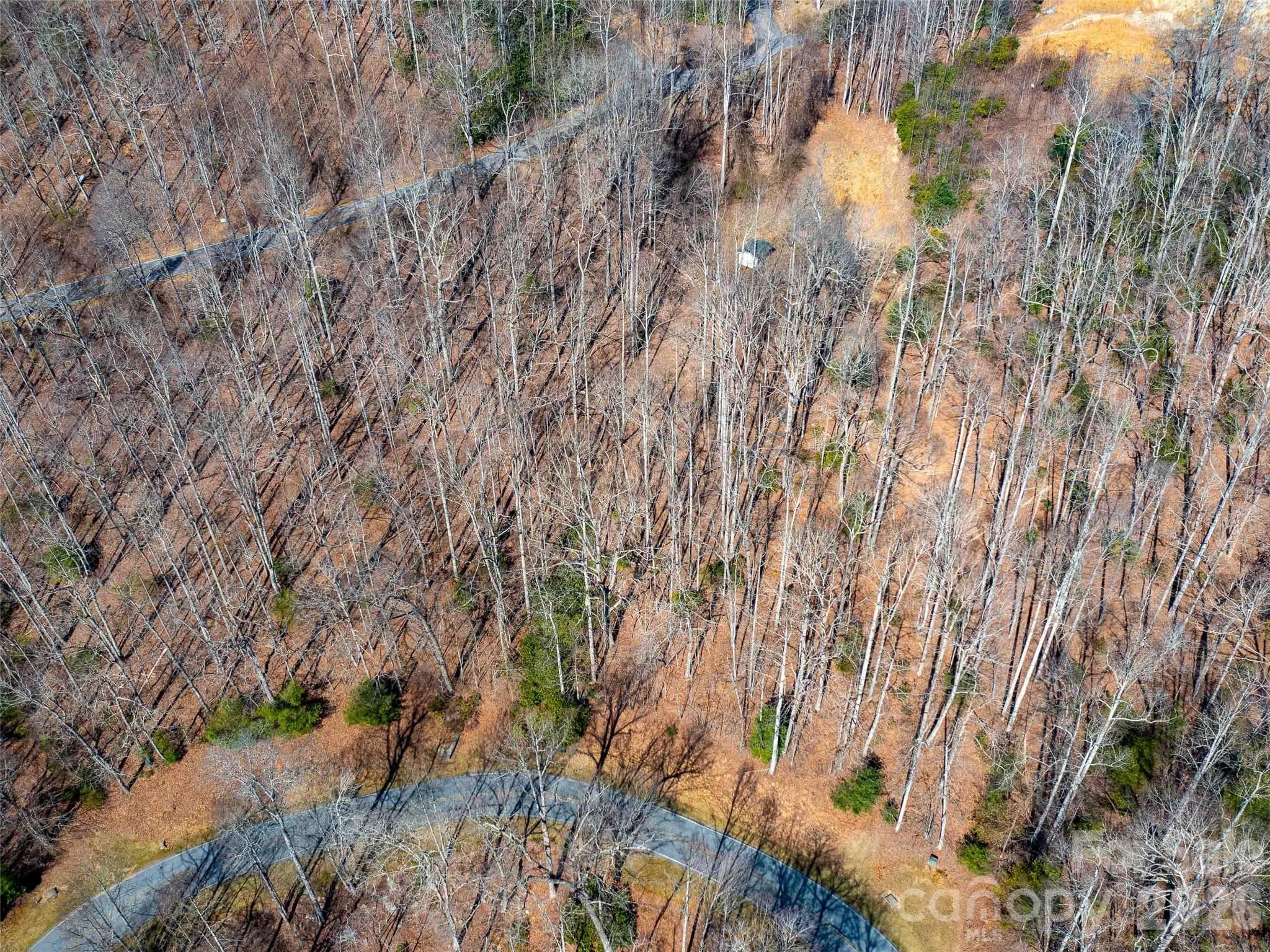 Lot at Hendersonville, photo 11 of 23