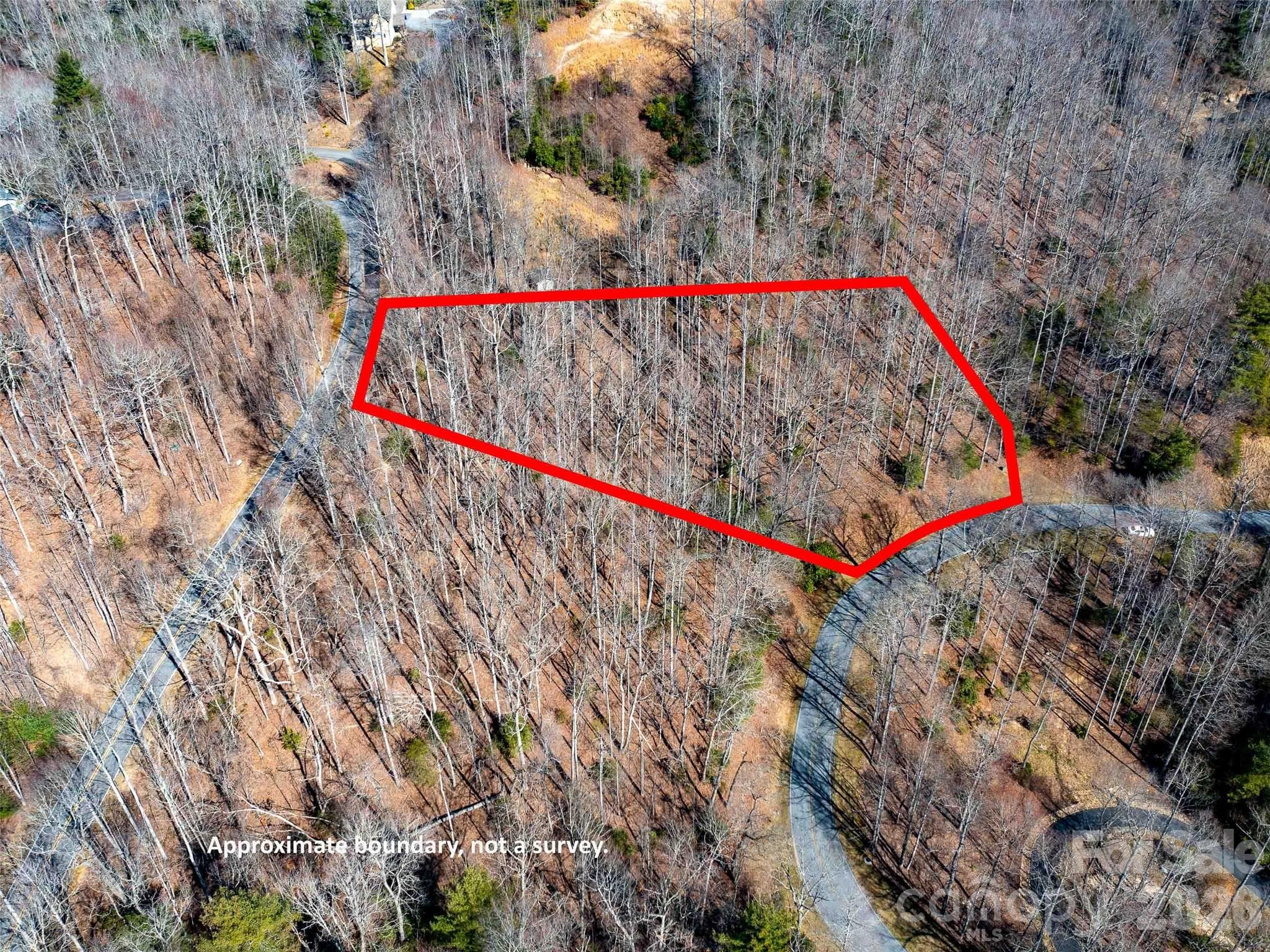 Lot at Hendersonville, photo 13 of 23