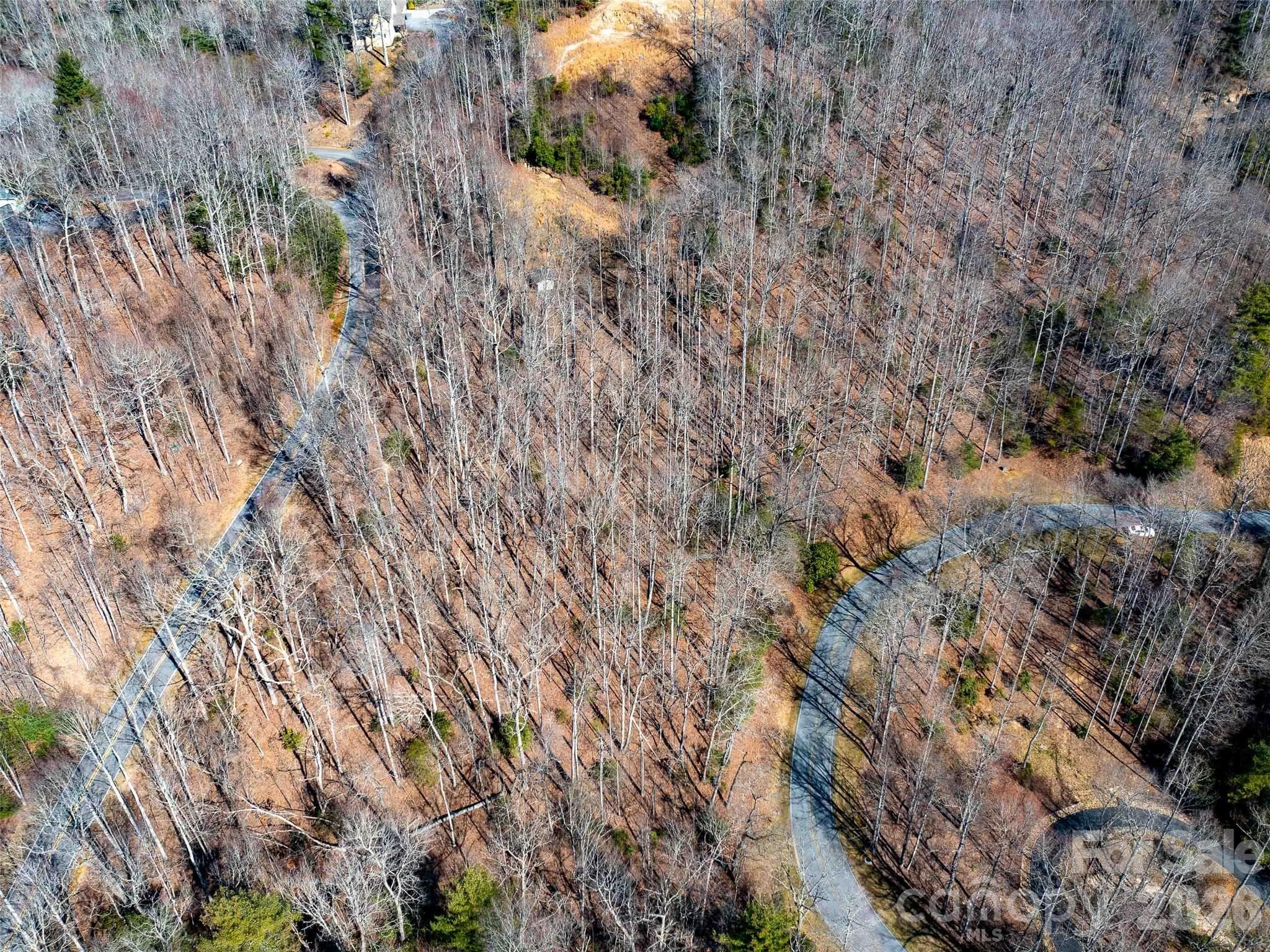 Lot at Hendersonville, photo 14 of 23