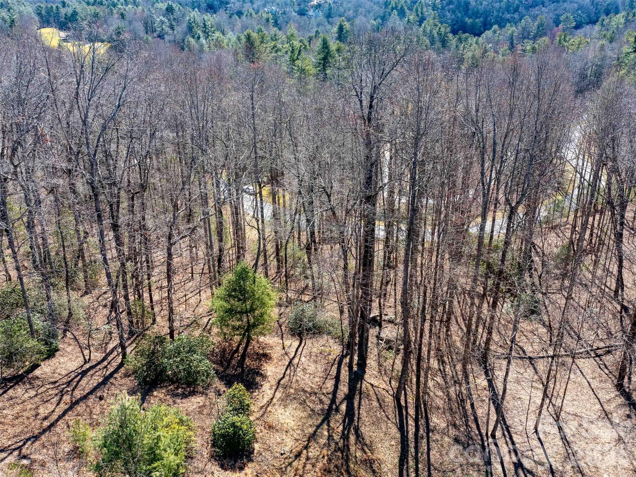 Lot at Hendersonville, photo 19 of 23