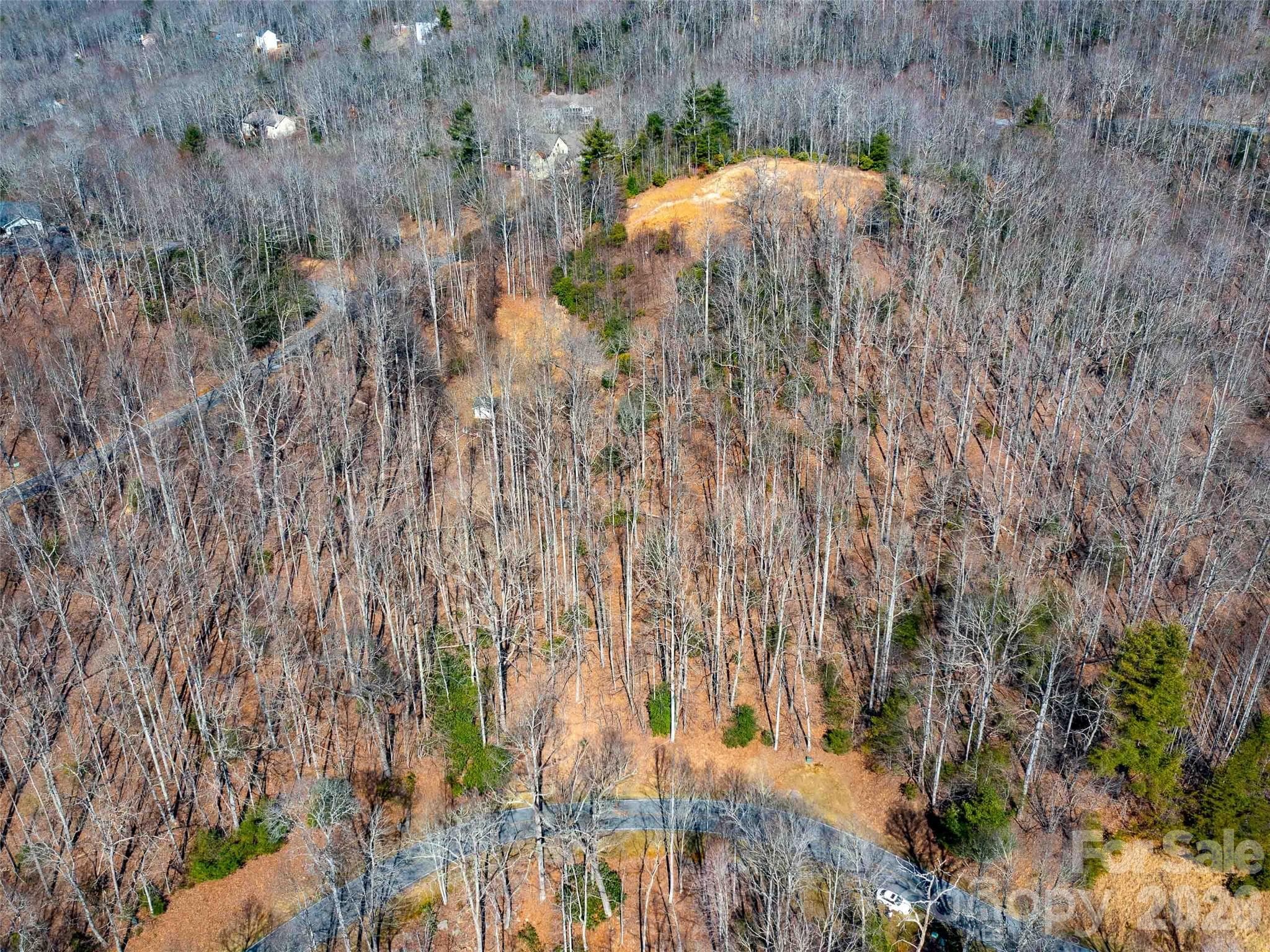 Lot at Hendersonville, photo 20 of 23