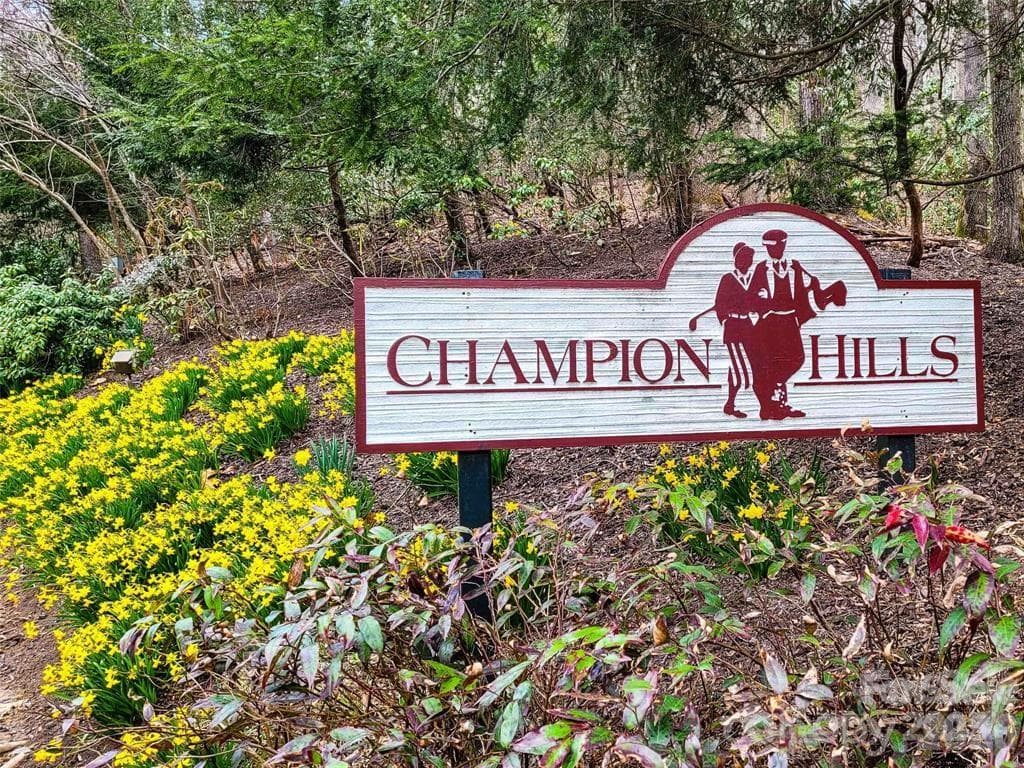 Lot at Hendersonville, photo 23 of 23
