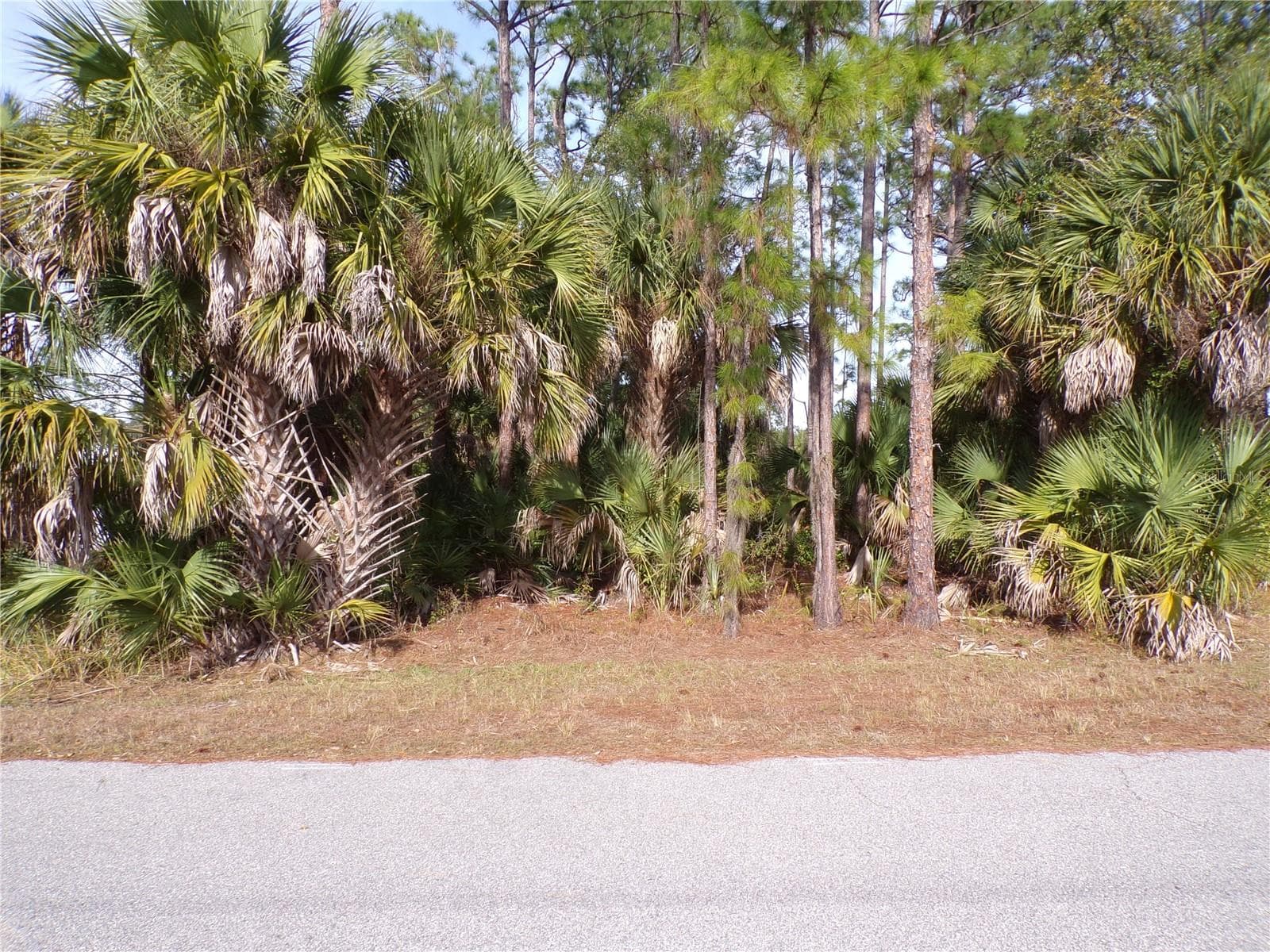 EVANGELINA LN