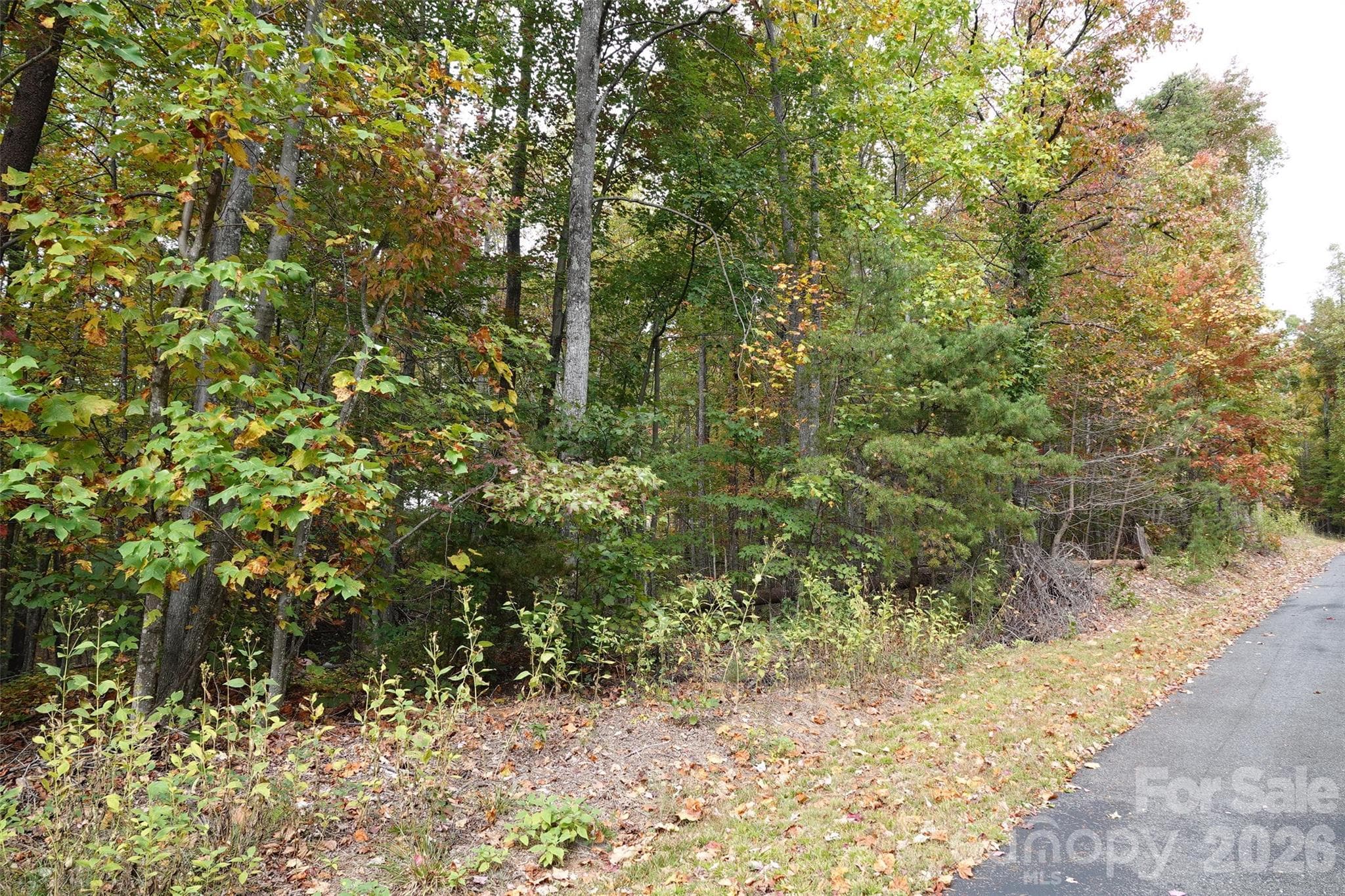 Lot at 100 Sunset Drive, Bostic, photo 4 of 15