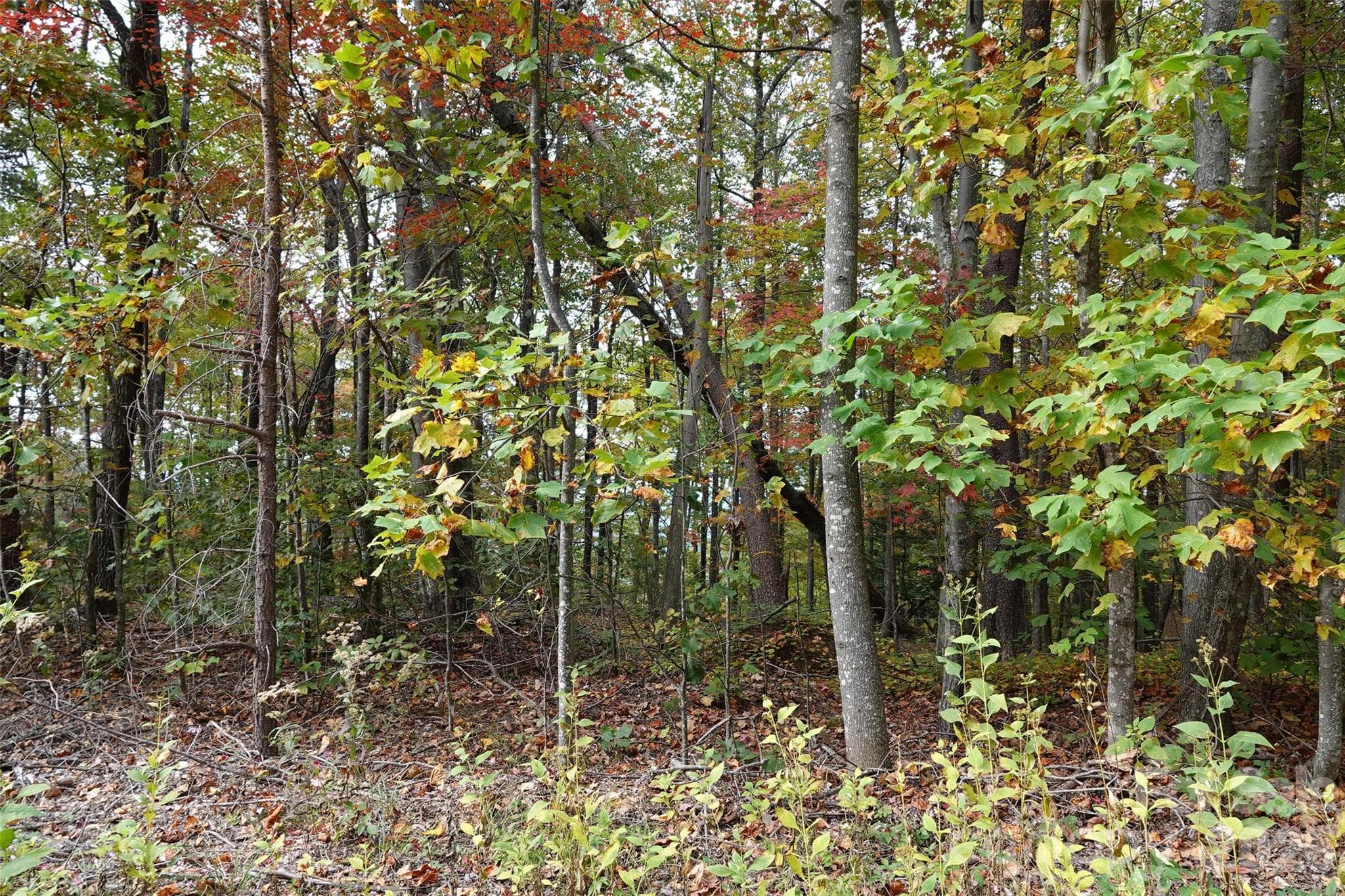 Lot at 100 Sunset Drive, Bostic, photo 6 of 15