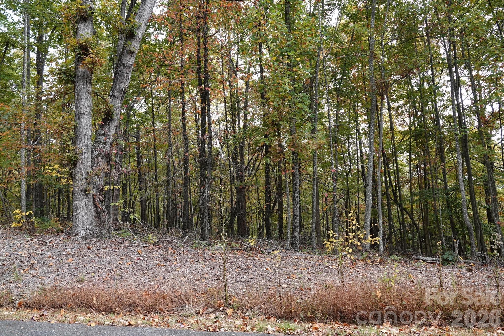 Lot at 100 Sunset Drive, Bostic, photo 7 of 15