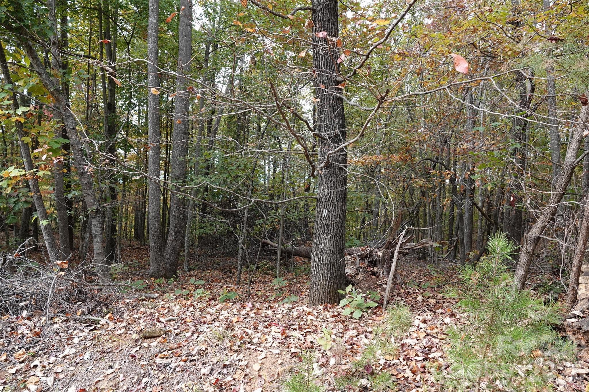 Lot at 100 Sunset Drive, Bostic, photo 8 of 15