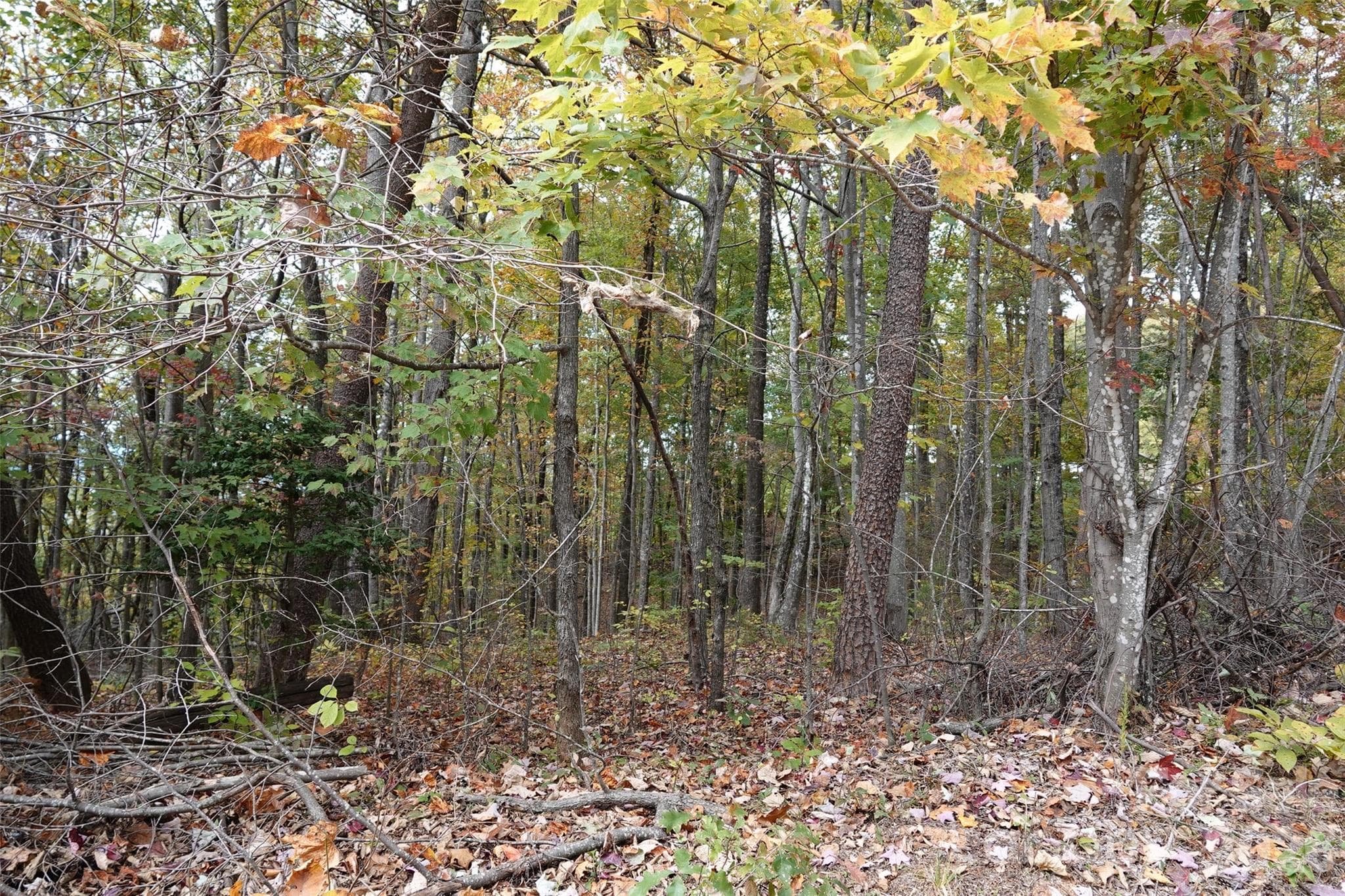 Lot at 100 Sunset Drive, Bostic, photo 9 of 15