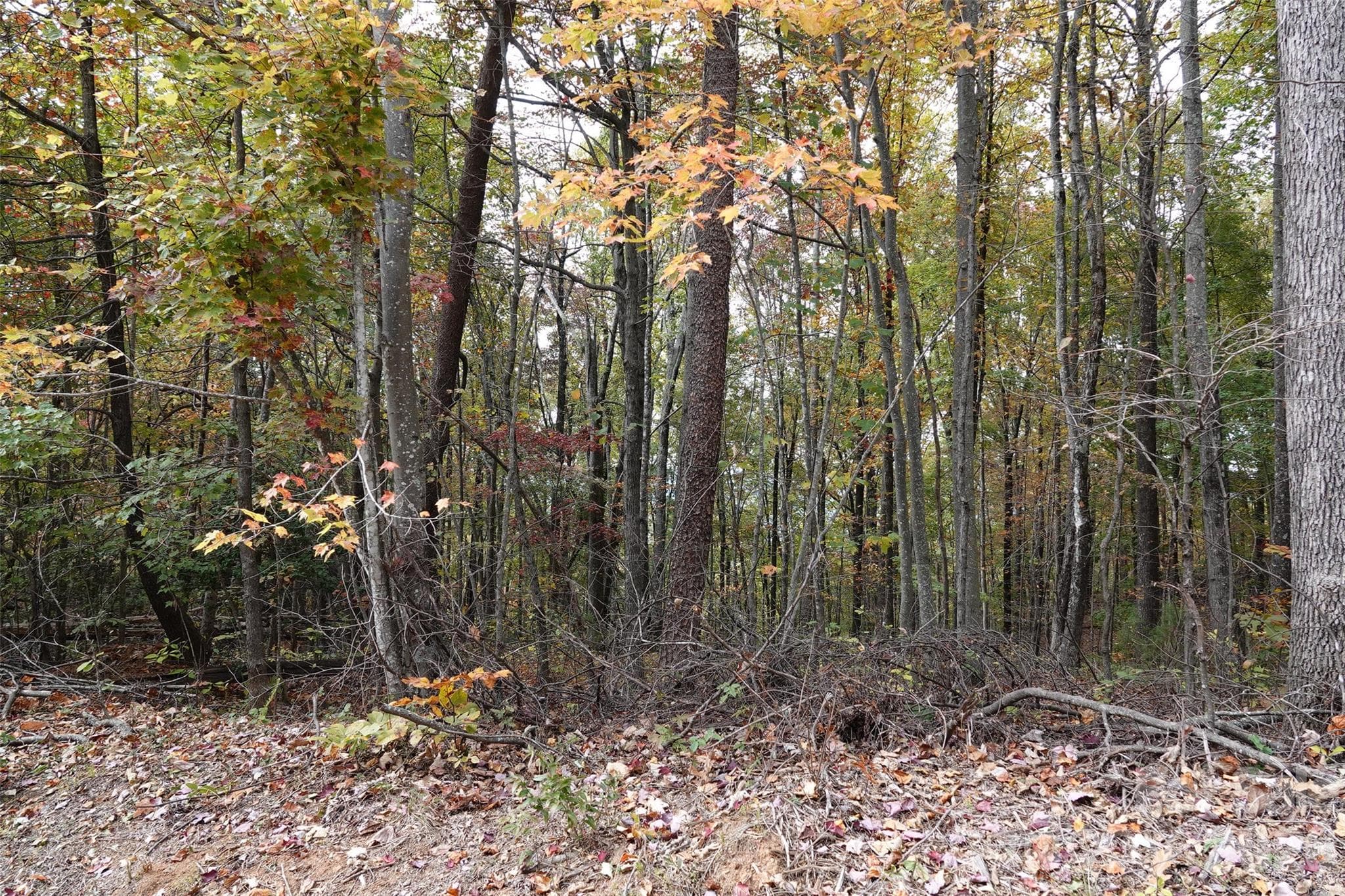 Lot at 100 Sunset Drive, Bostic, photo 10 of 15