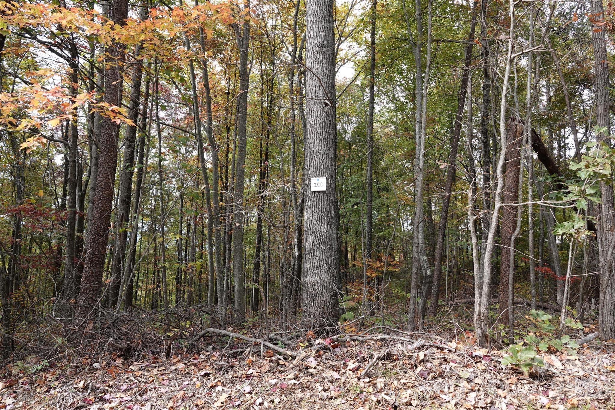 Lot at 100 Sunset Drive, Bostic, photo 12 of 15