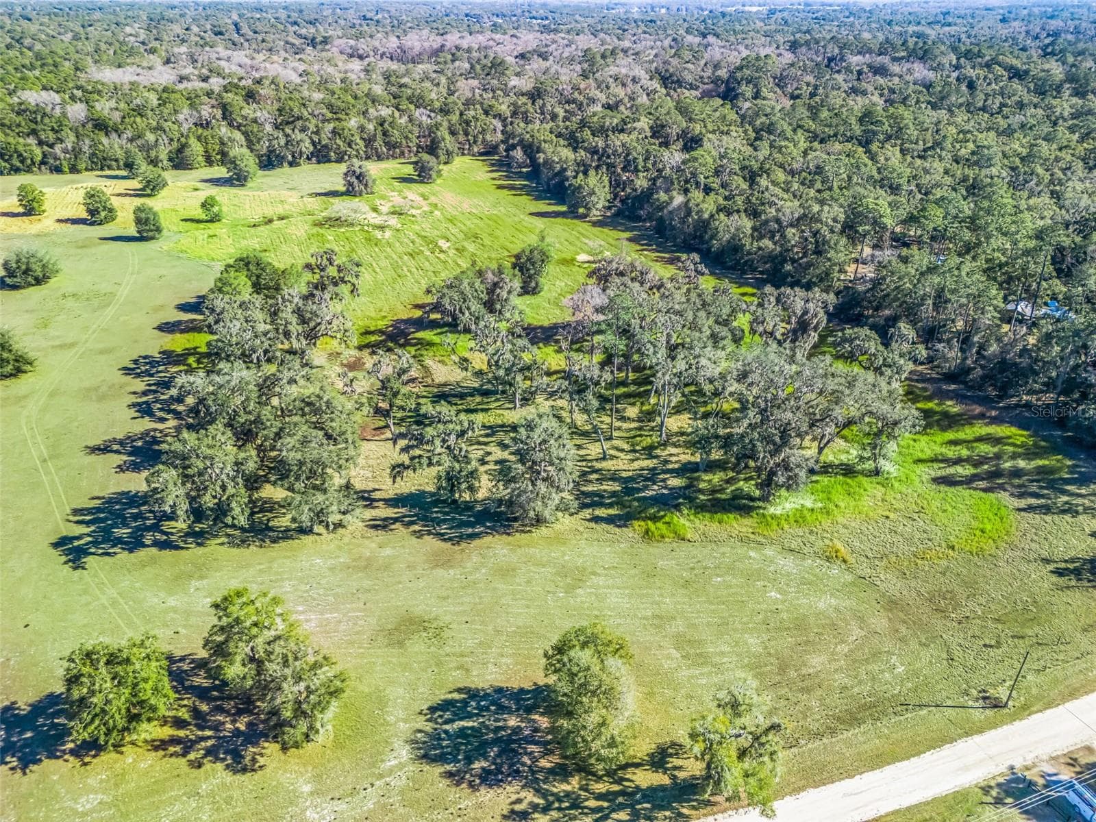 Land at TBD NW 127 CT, OCALA, photo 10 of 17