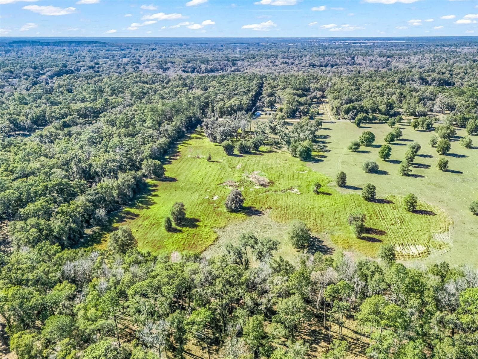 Land at TBD NW 127 CT, OCALA, photo 12 of 17