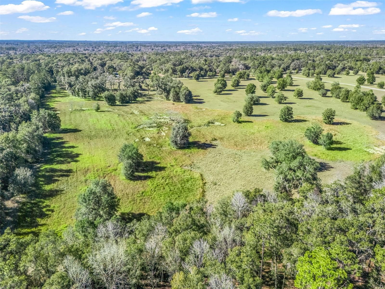 Land at TBD NW 127 CT, OCALA, photo 14 of 17