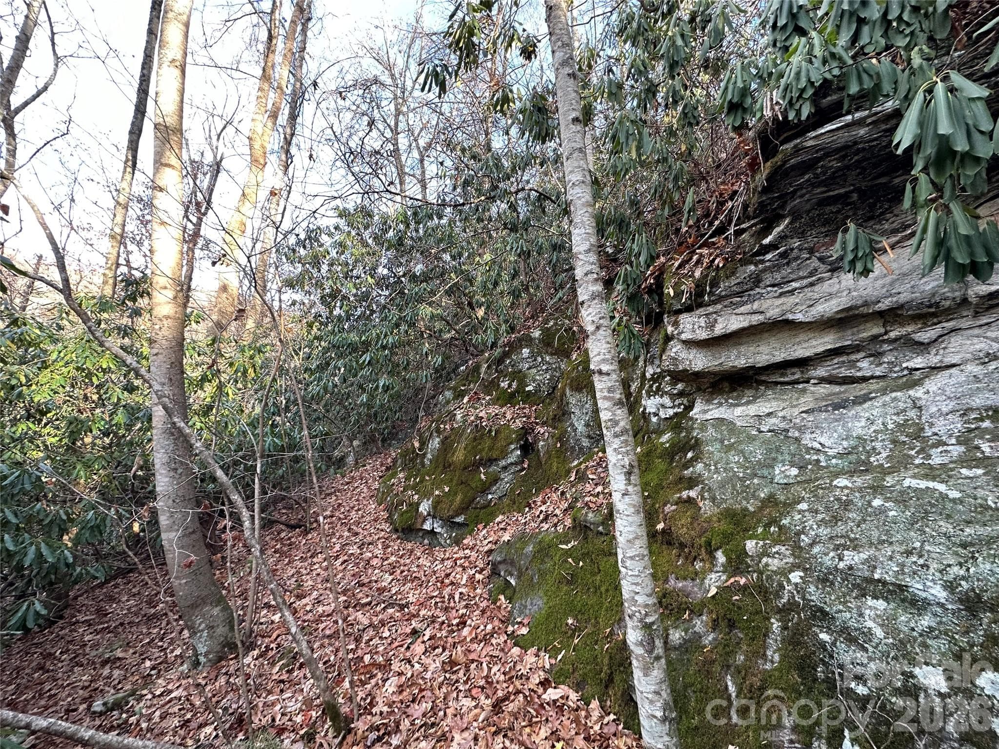 Lot at Clyde, photo 7 of 9