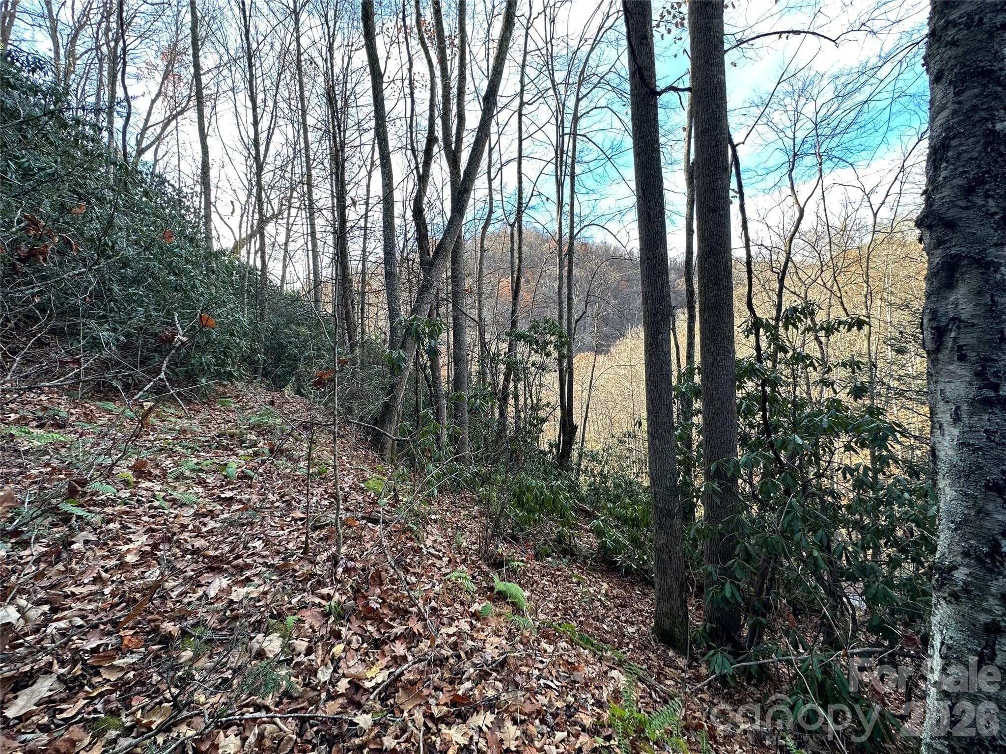 Lot at Clyde, photo 8 of 9
