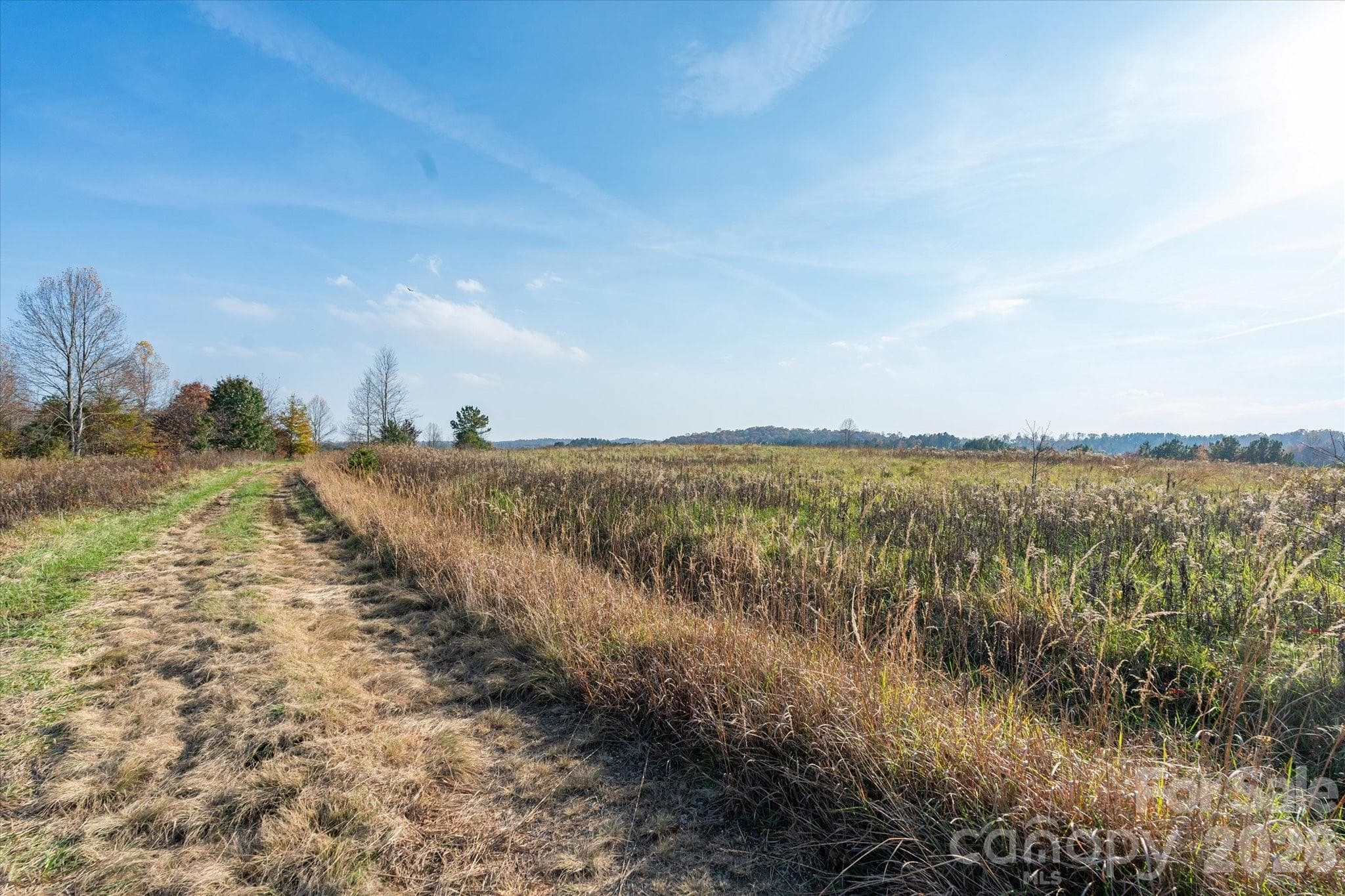 Acreage at Mill Spring, photo 6 of 31