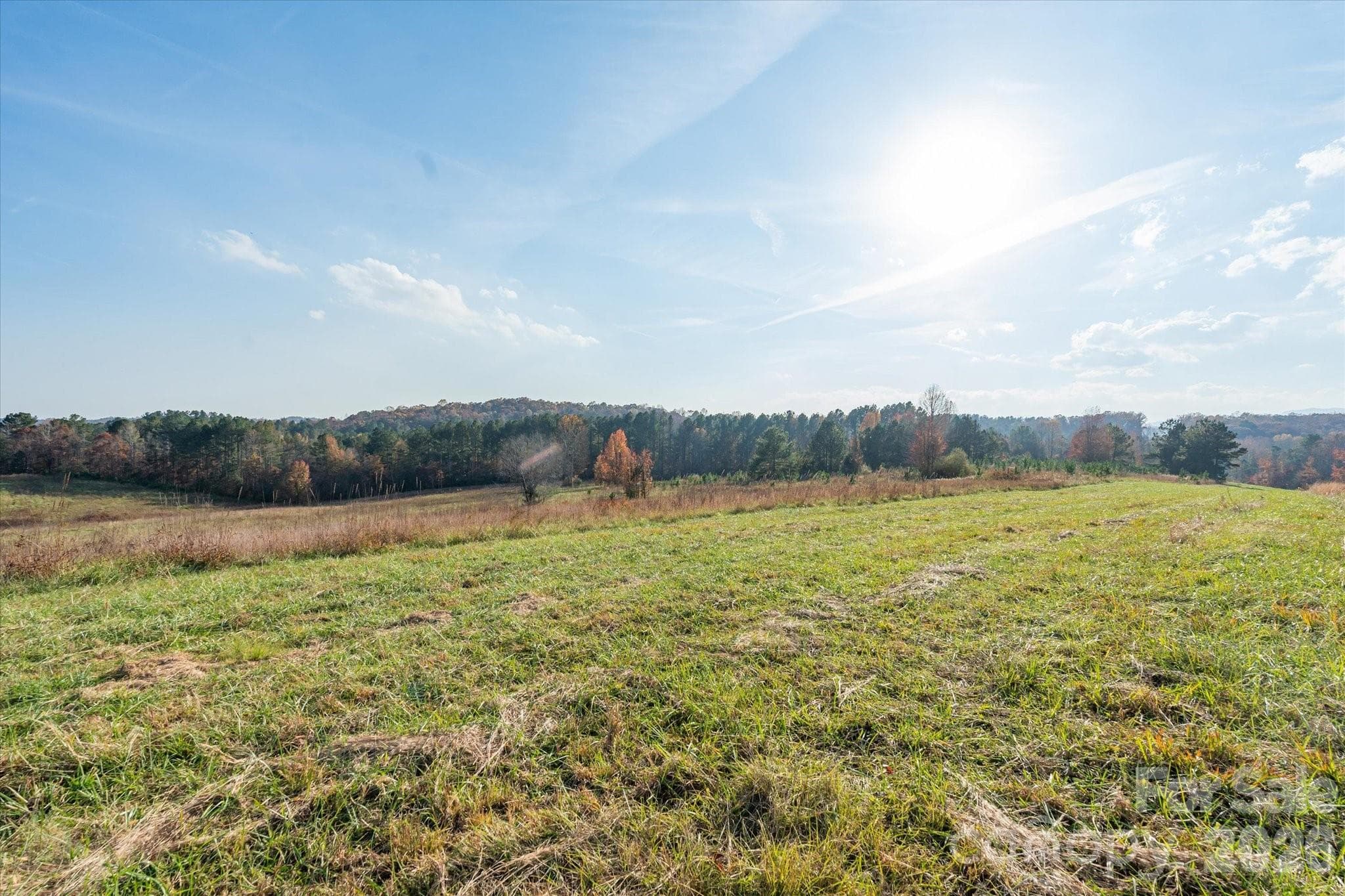 Acreage at Mill Spring, photo 11 of 31