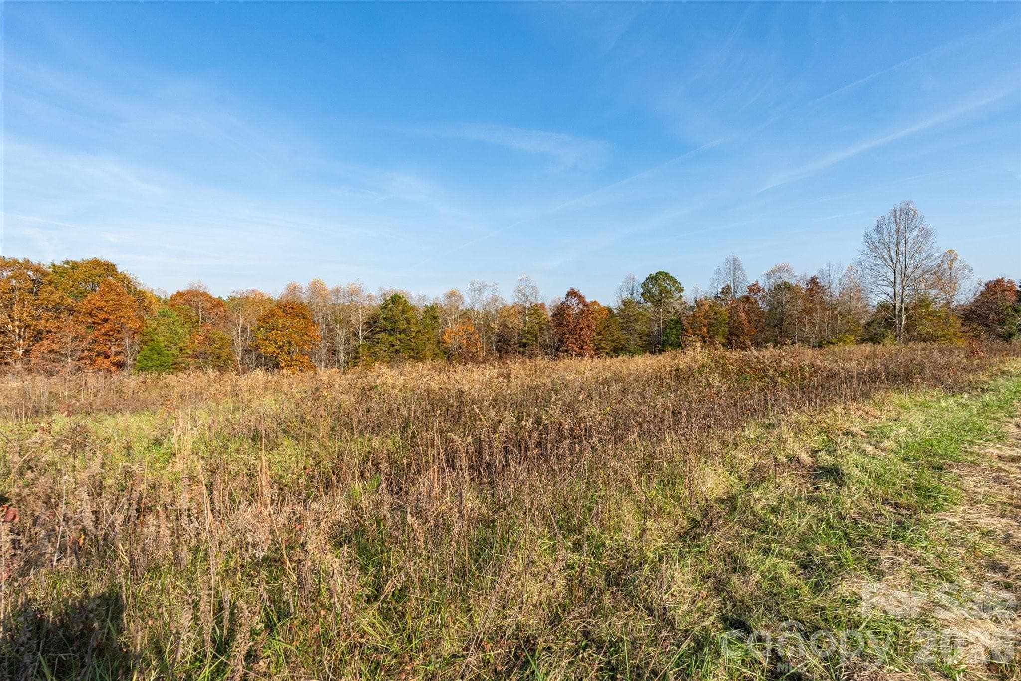 Acreage at Mill Spring, photo 14 of 31