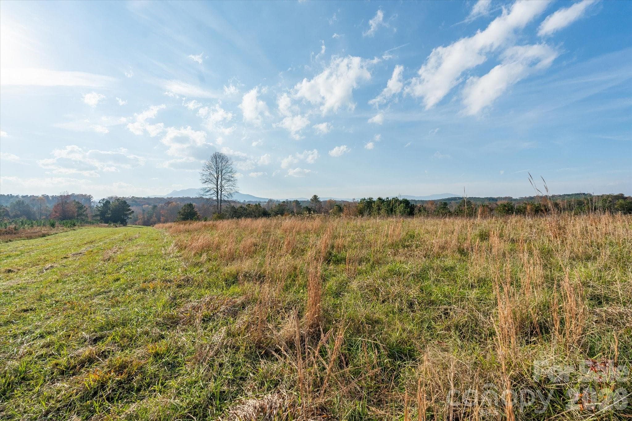 Single Family Residence at Mill Spring, photo 13 of 31