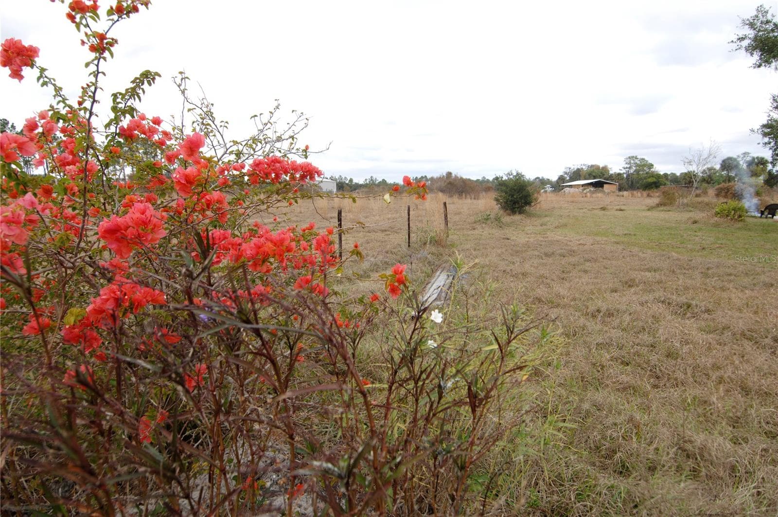 Land at 14780 SUGAR BOWL RD, MYAKKA CITY, photo 52 of 54