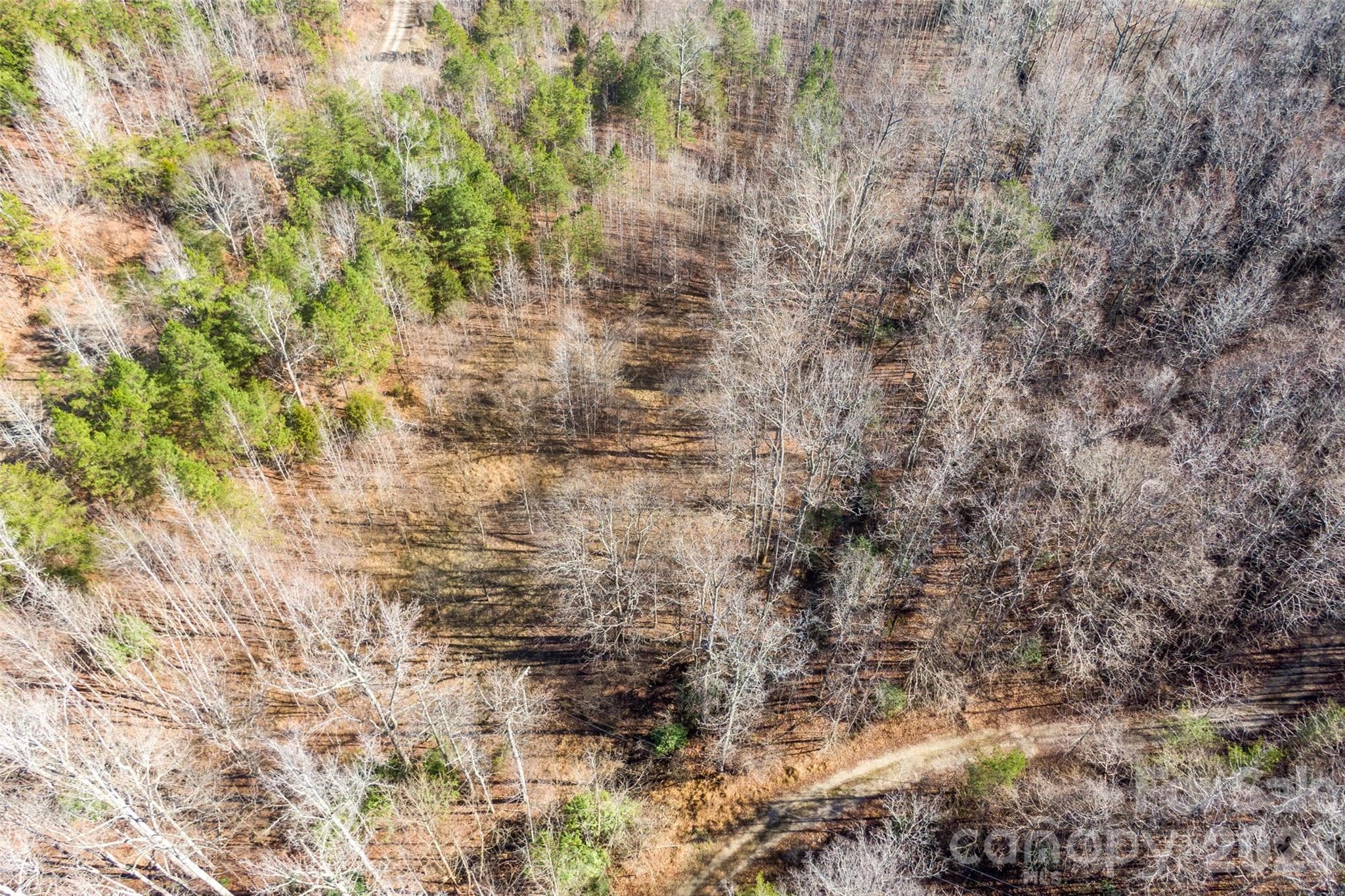 Lot at 0 Riding Ring Drive, Ellenboro, photo 4 of 6