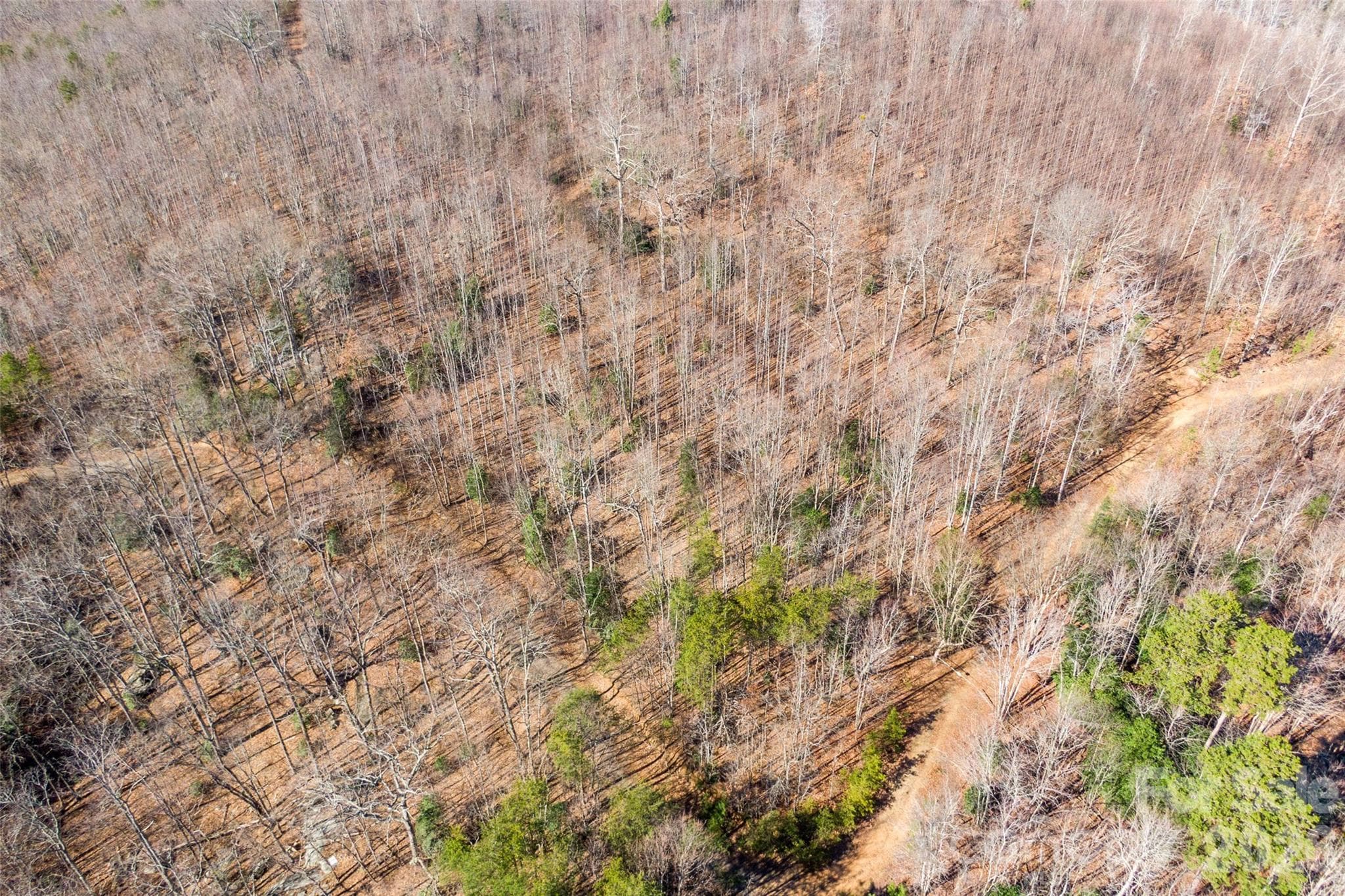 Lot at 0 Ashe Drive, Ellenboro, photo 3 of 8