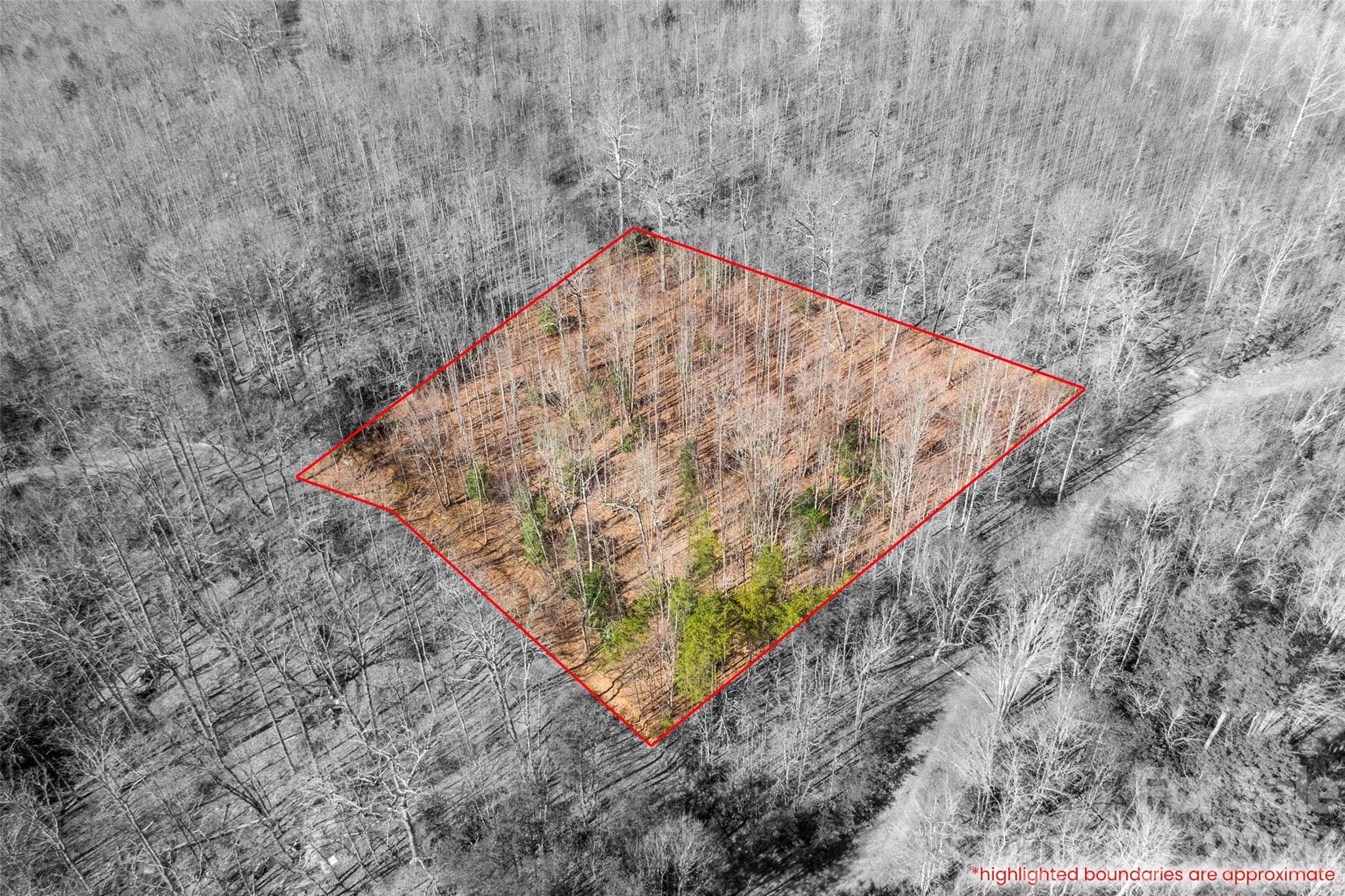 Lot at 0 Ashe Drive, Ellenboro, photo 4 of 8